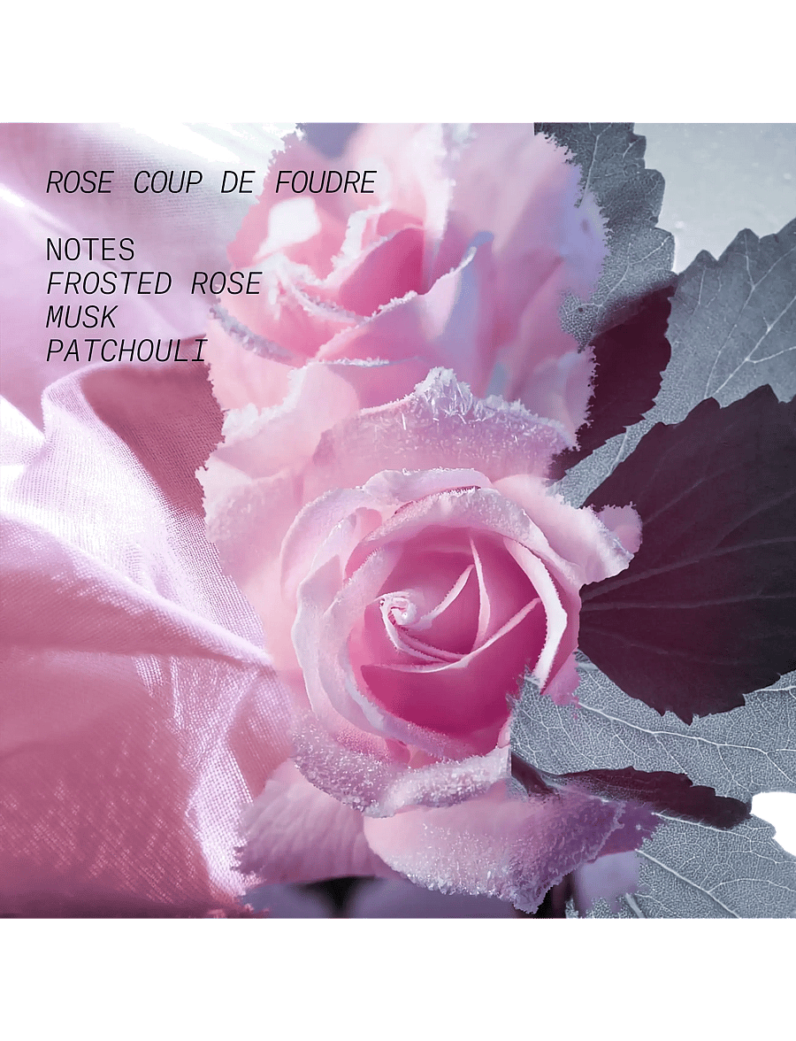 L'atelier Parfum - EDP ROSE COUP DE FOUDRE 50ML - till honom - clear - 3