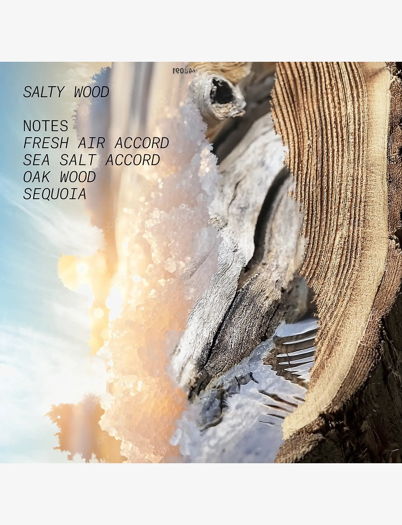 L'atelier Parfum - EDP SALTY WOOD 100ML - till honom  - clear - 3