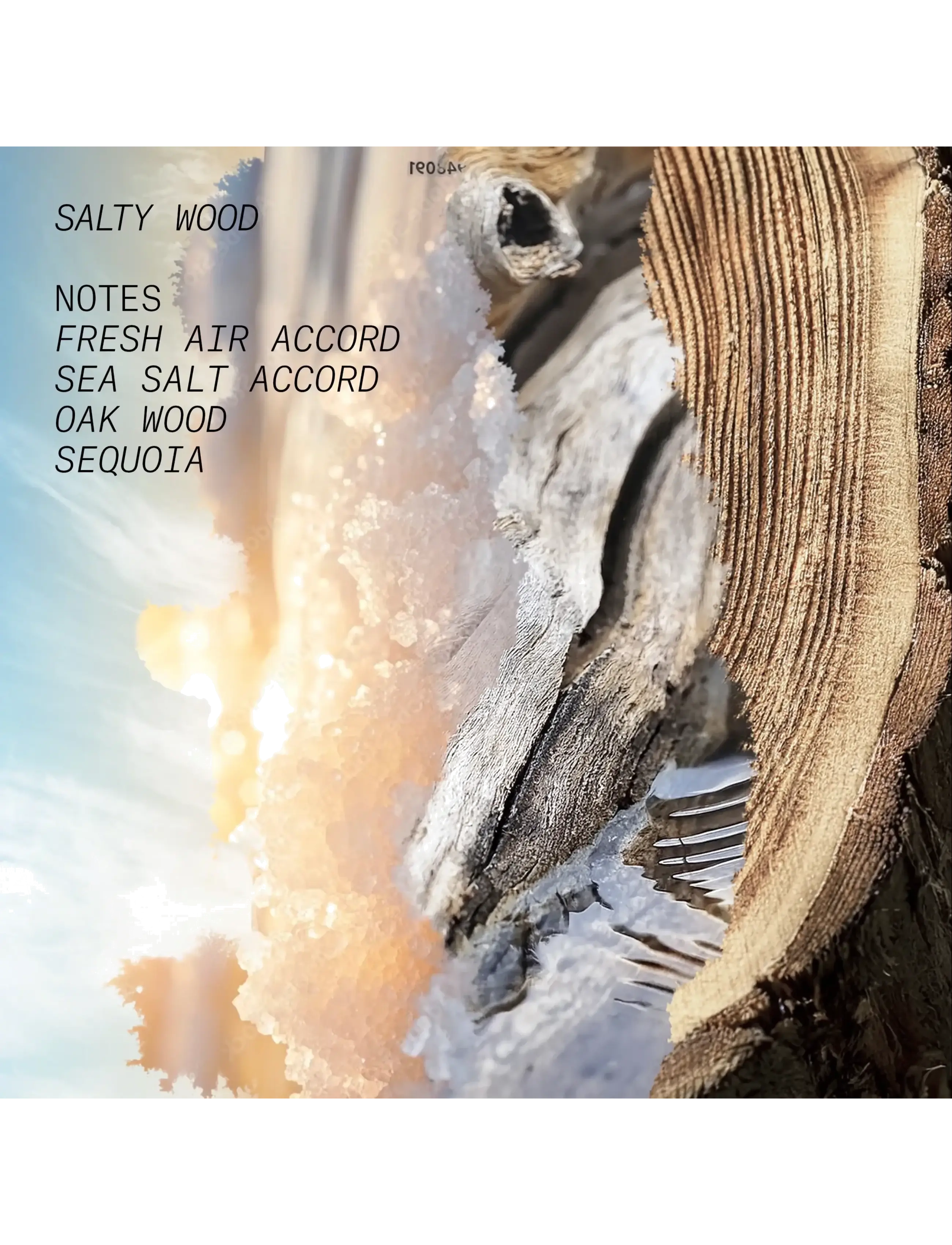 Edp Salty Wood 3