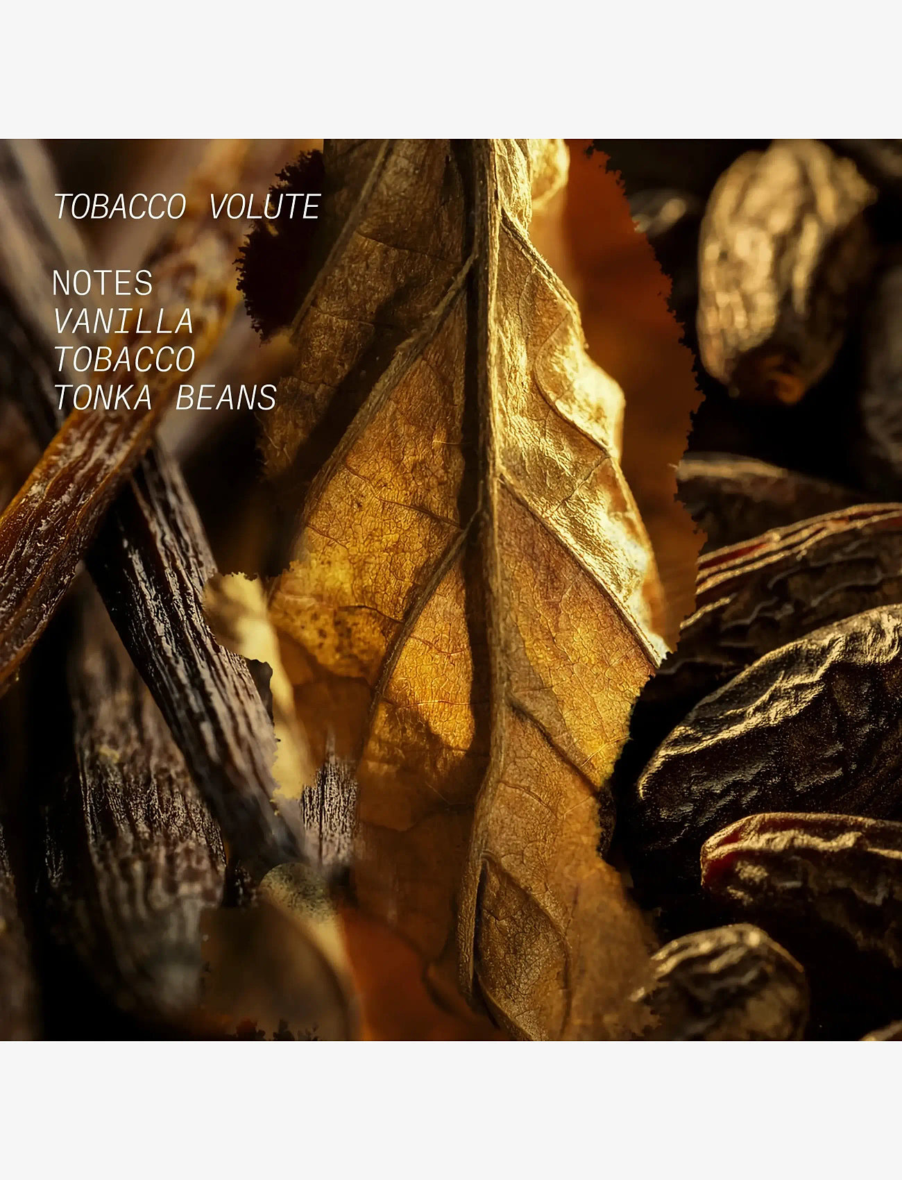 L'atelier Parfum - EDP TOBACCO VOLUTE 100ML - til ham  - clear - 3