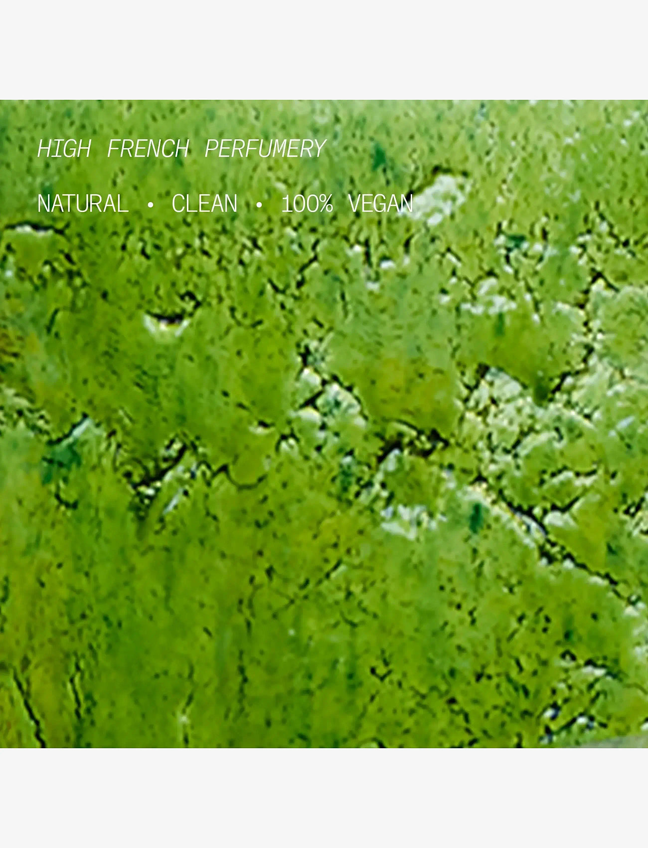 L'atelier Parfum - EDP VERTE EUPHORIE 15ML - til ham  - clear - 5