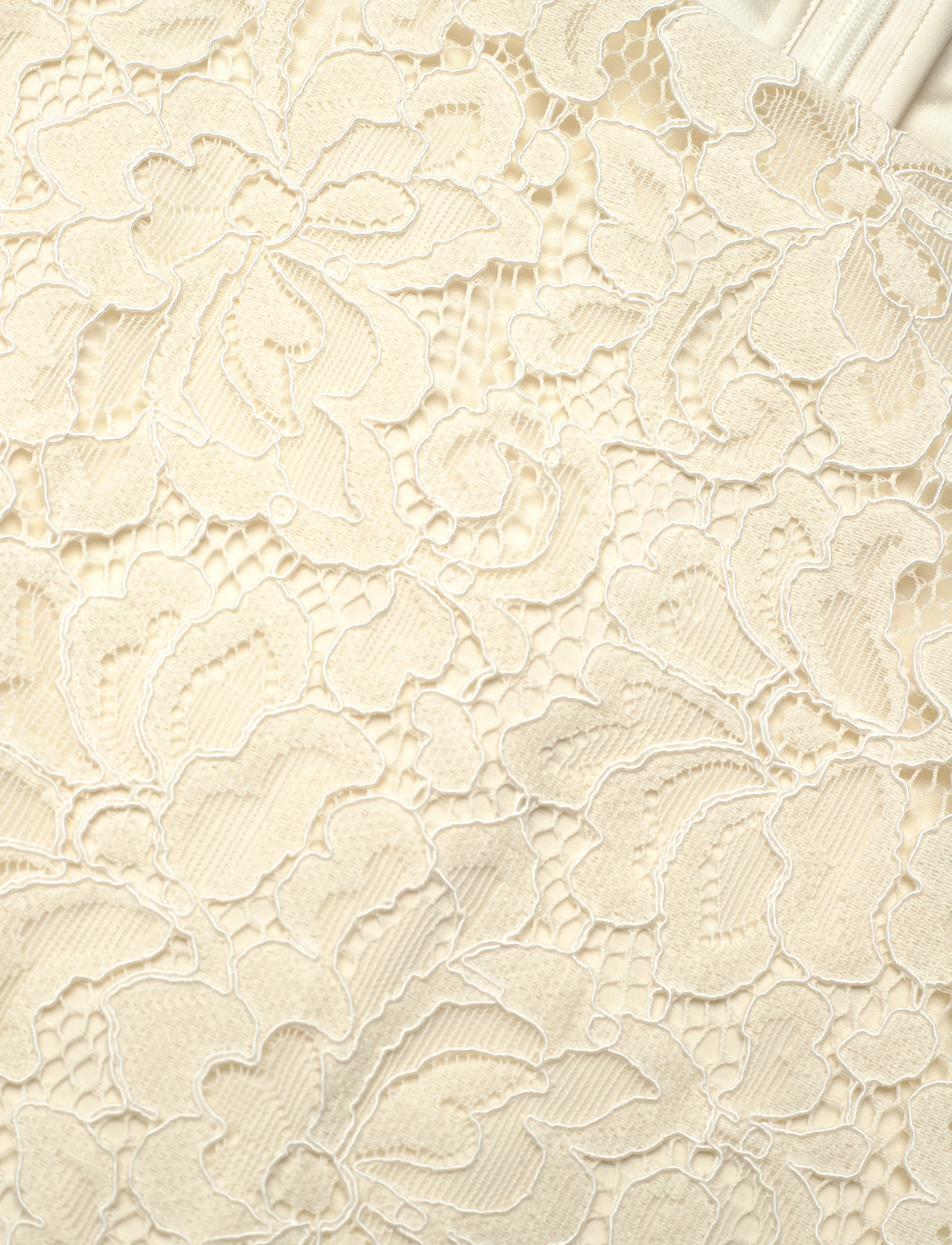 Lauren Ralph Lauren - Lace Cap-Sleeve Shift Dress - mascarpone cream - 2
