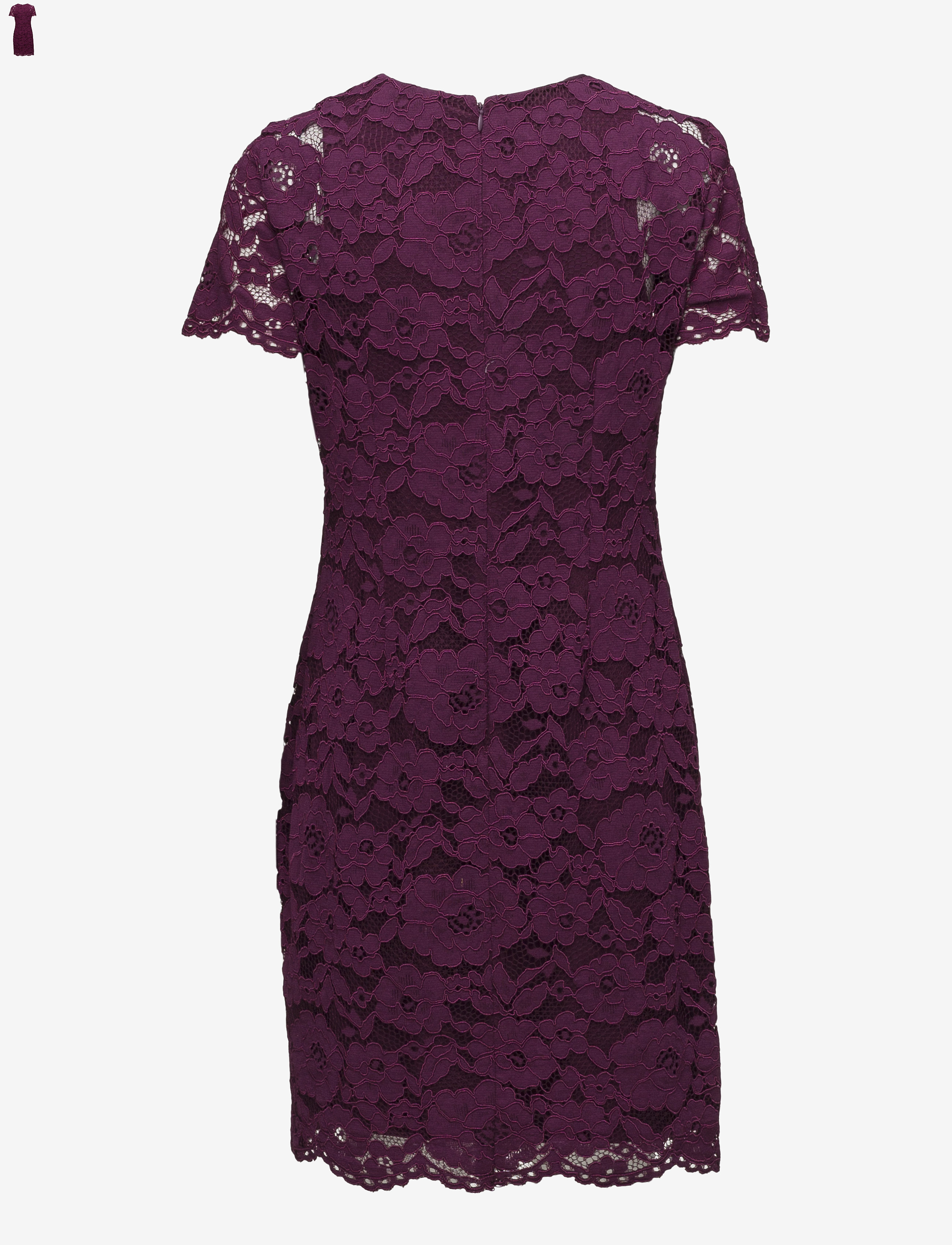 Lauren Ralph Lauren - Floral Lace Dress - passion plum - 1