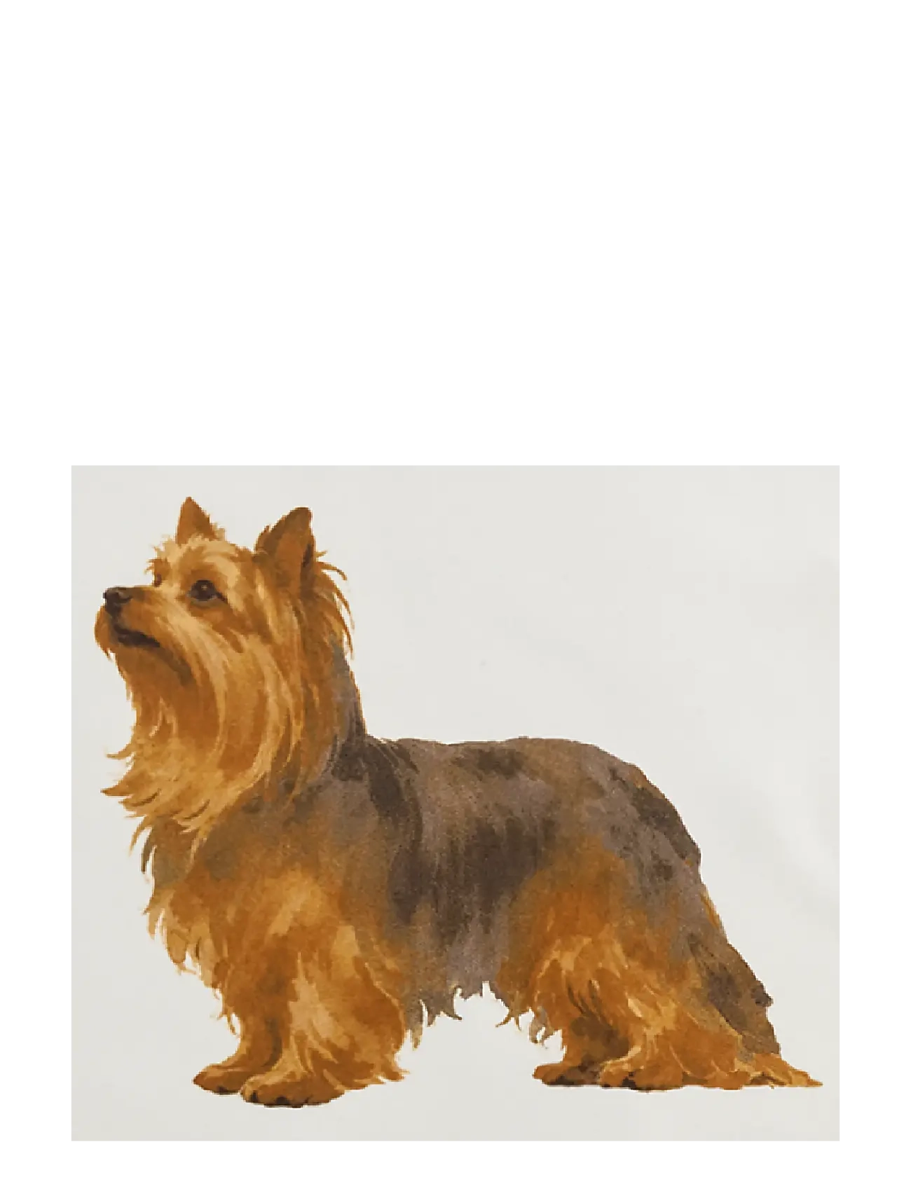 Lauren Ralph Lauren - Dog Silk Square Scarf - sjalar - mascarpone cream - 1