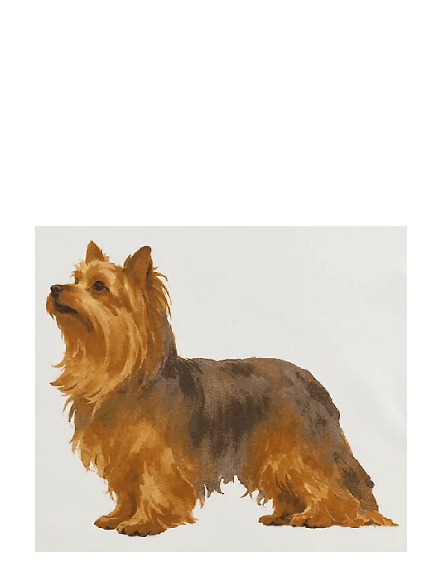 Lauren Ralph Lauren - Dog Silk Square Scarf - sjalar - mascarpone cream - 1