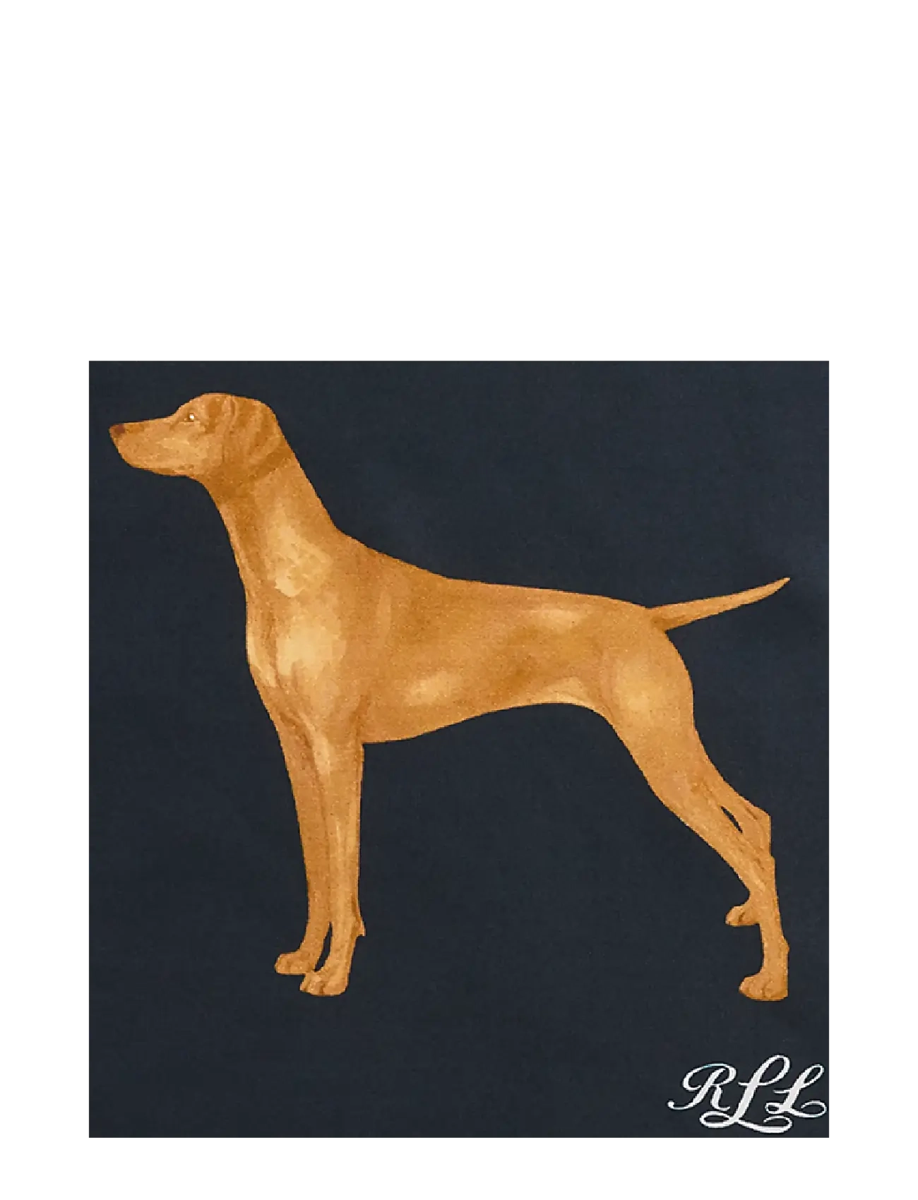 Lauren Ralph Lauren - Dog Silk Square Scarf - sjalar - navy multi - 1
