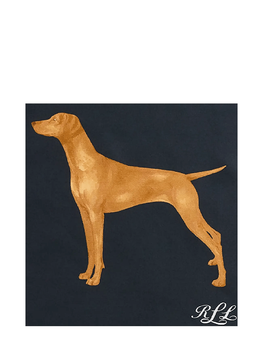Lauren Ralph Lauren - Dog Silk Square Scarf - sjalar - navy multi - 1