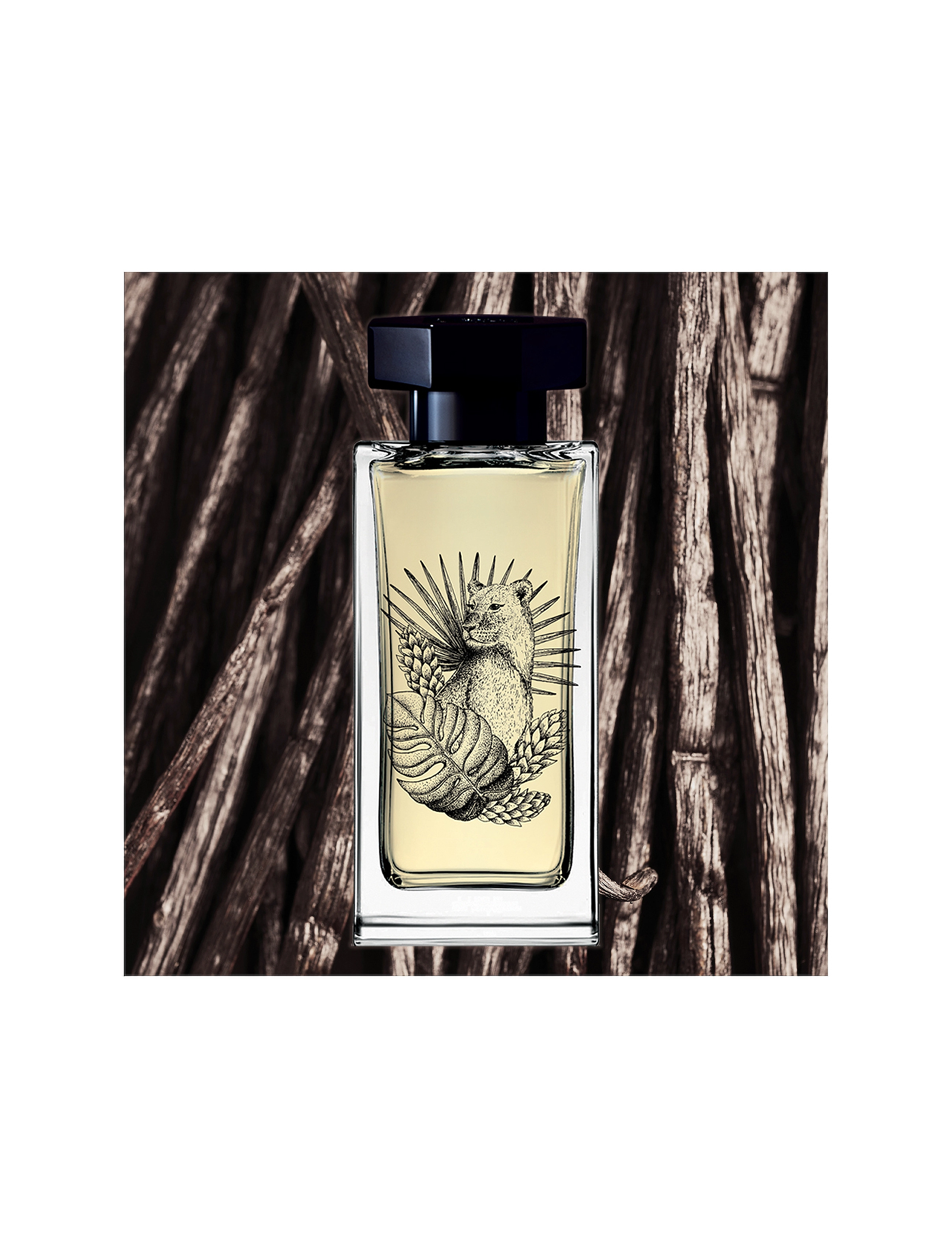 Le Couvent - Eau de Parfum Singulière Nubica EdP - til ham  - clear - 4