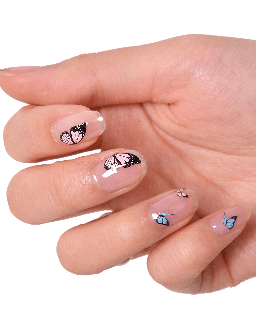 Le Mini Macaron - Butterfly Dreams BUTTERFLY DREAMS - makeup - butterfly dreams - 0