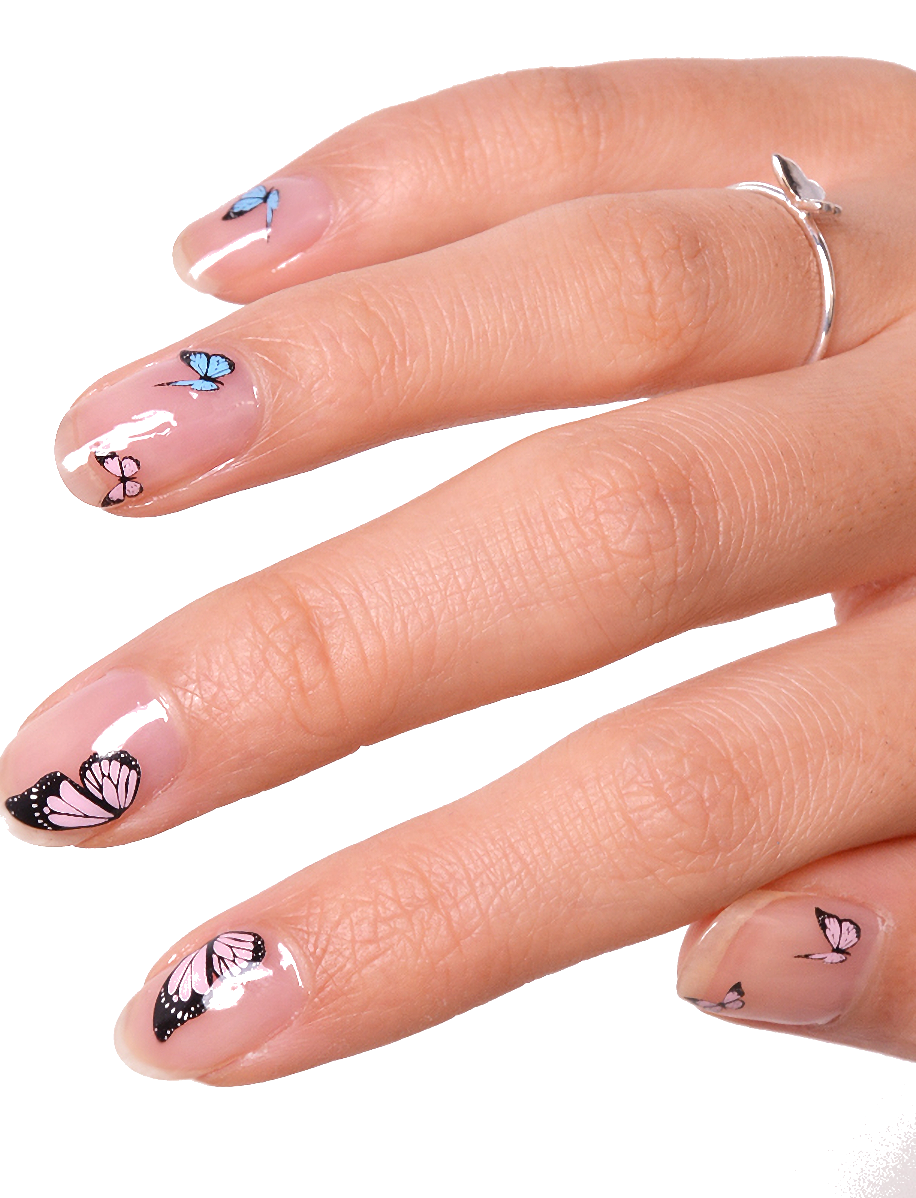 Le Mini Macaron - Butterfly Dreams BUTTERFLY DREAMS - smink - butterfly dreams - 2