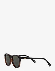 Le Specs - BANDWAGON - pyöreät aurinkolasit - black tortoise w/ khaki mono lens **polarized** - 1