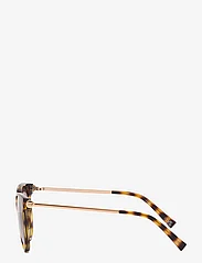 Le Specs - CONTENTION - d-shaped solbriller - tort w/ brown grad lens - 2