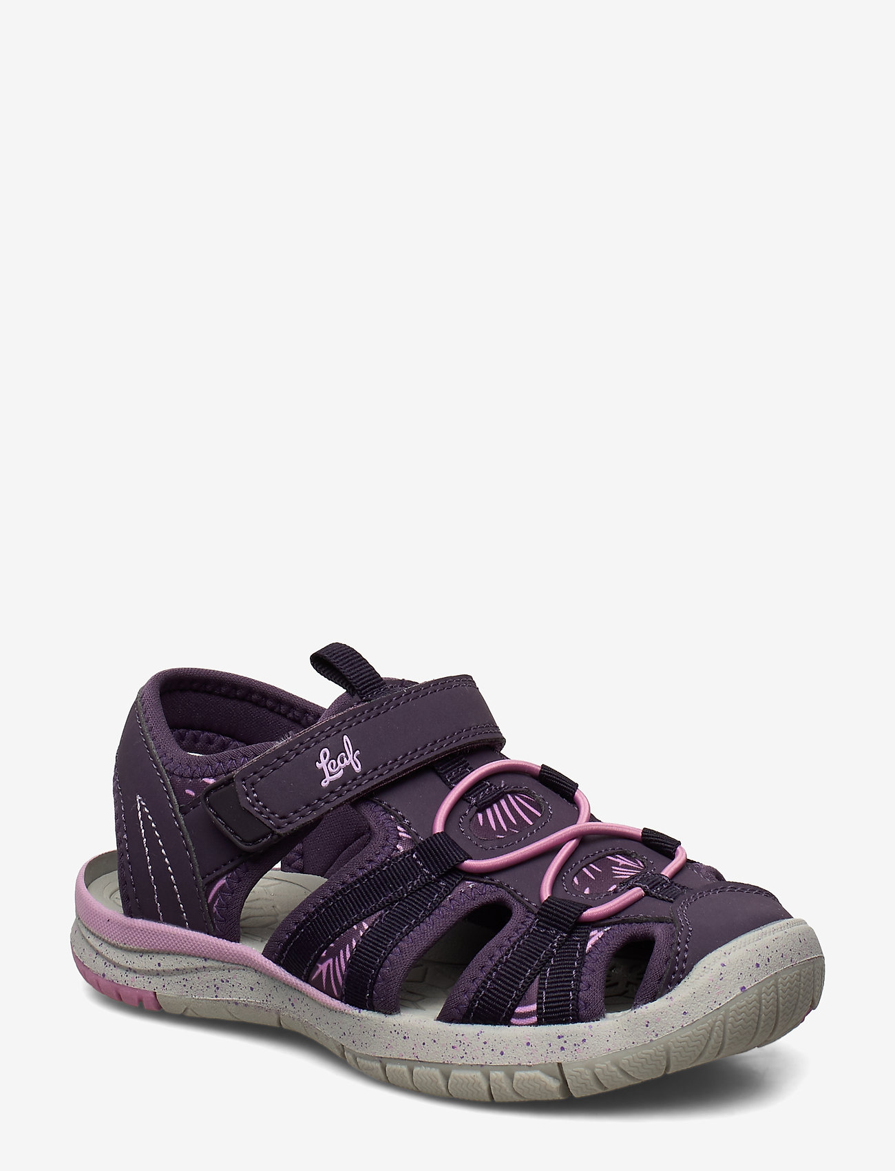 DK PURPLE