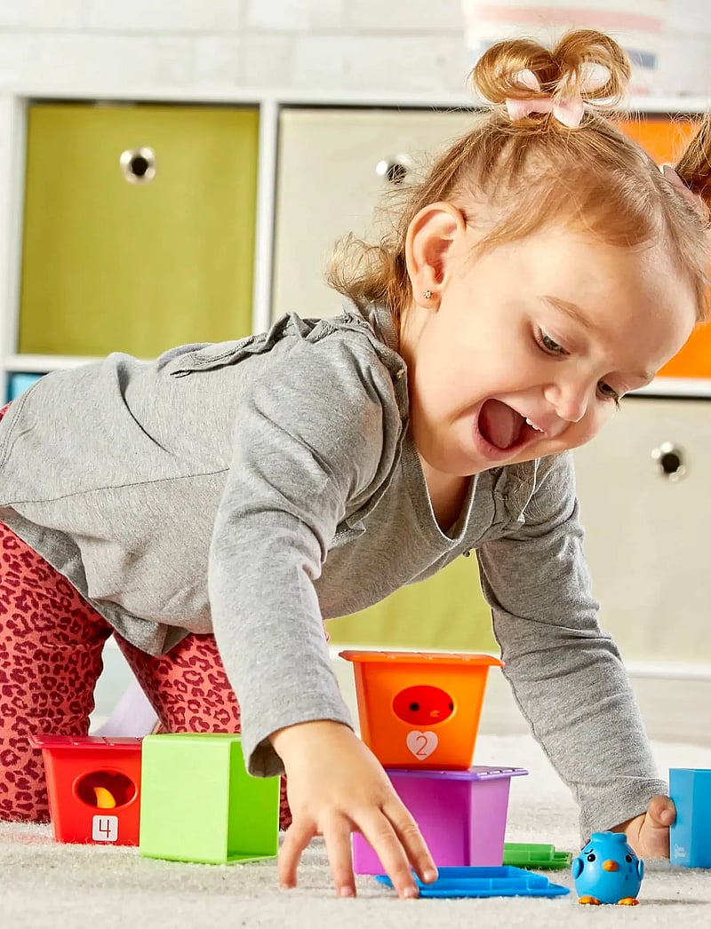 Learning Resources - Peek-a-Bird Learning Buddies - sorting box toy - multi coloured - 4