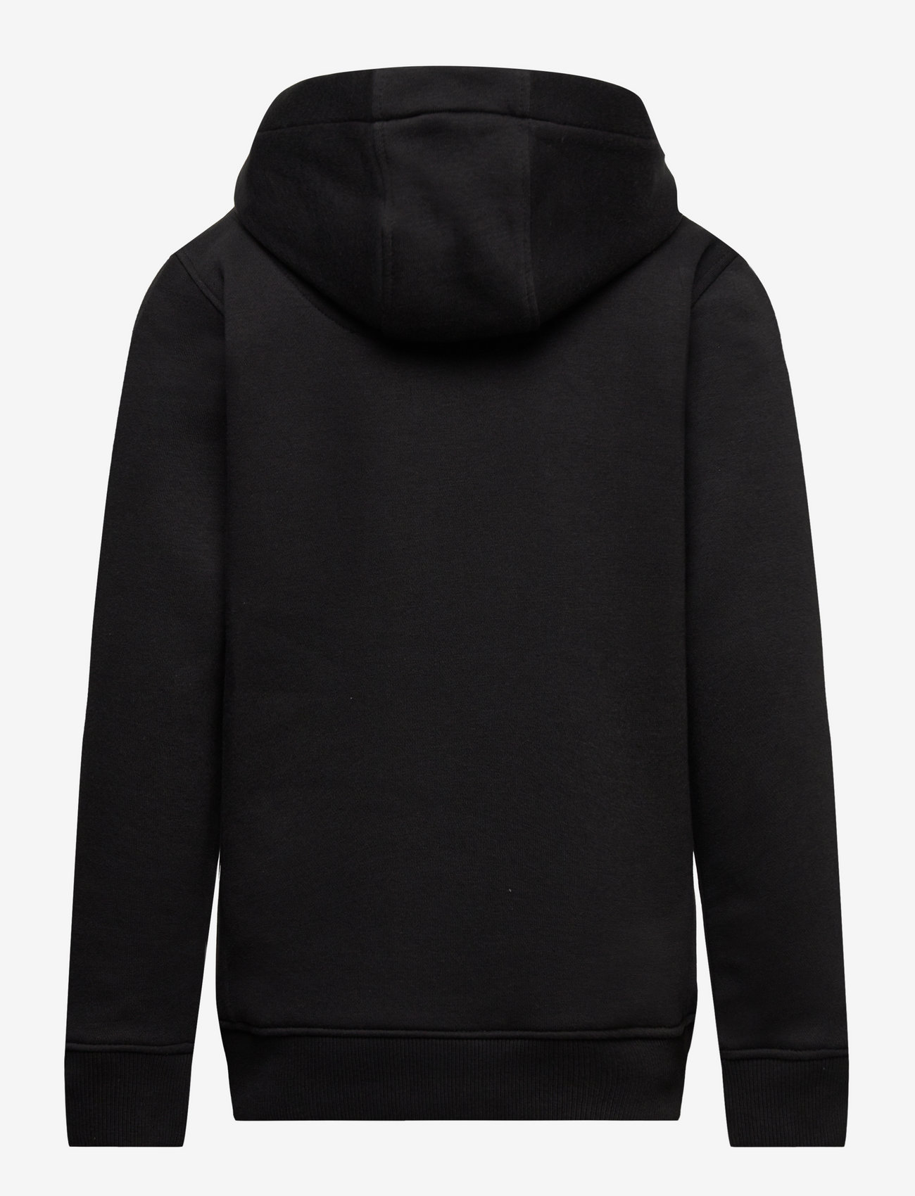 Lee Jeans Wobbly Graphic Bb Oth Hoodie (LJKLEE0008