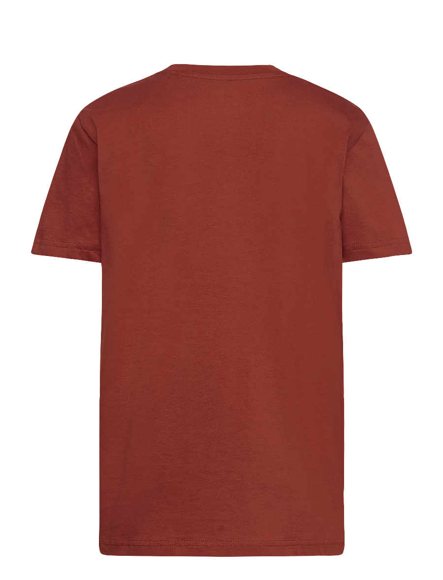Lee Jeans - Wobbly Graphic T-Shirt - lühikeste varrukatega t-särgid - burnt henna - 1