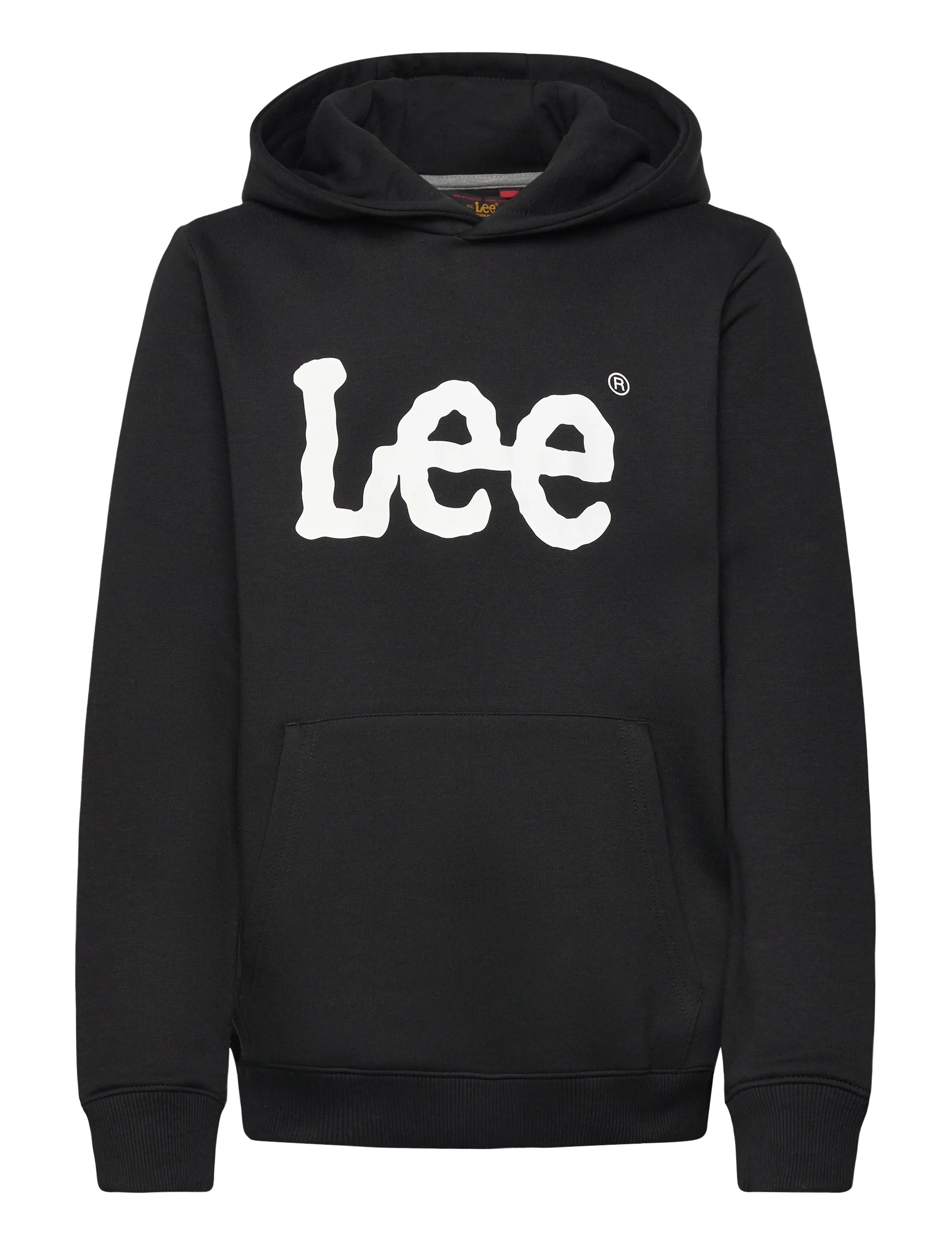 Lee Jeans Wobbly Graphic BB OTH Hoodie - Kläder - BLACK / black