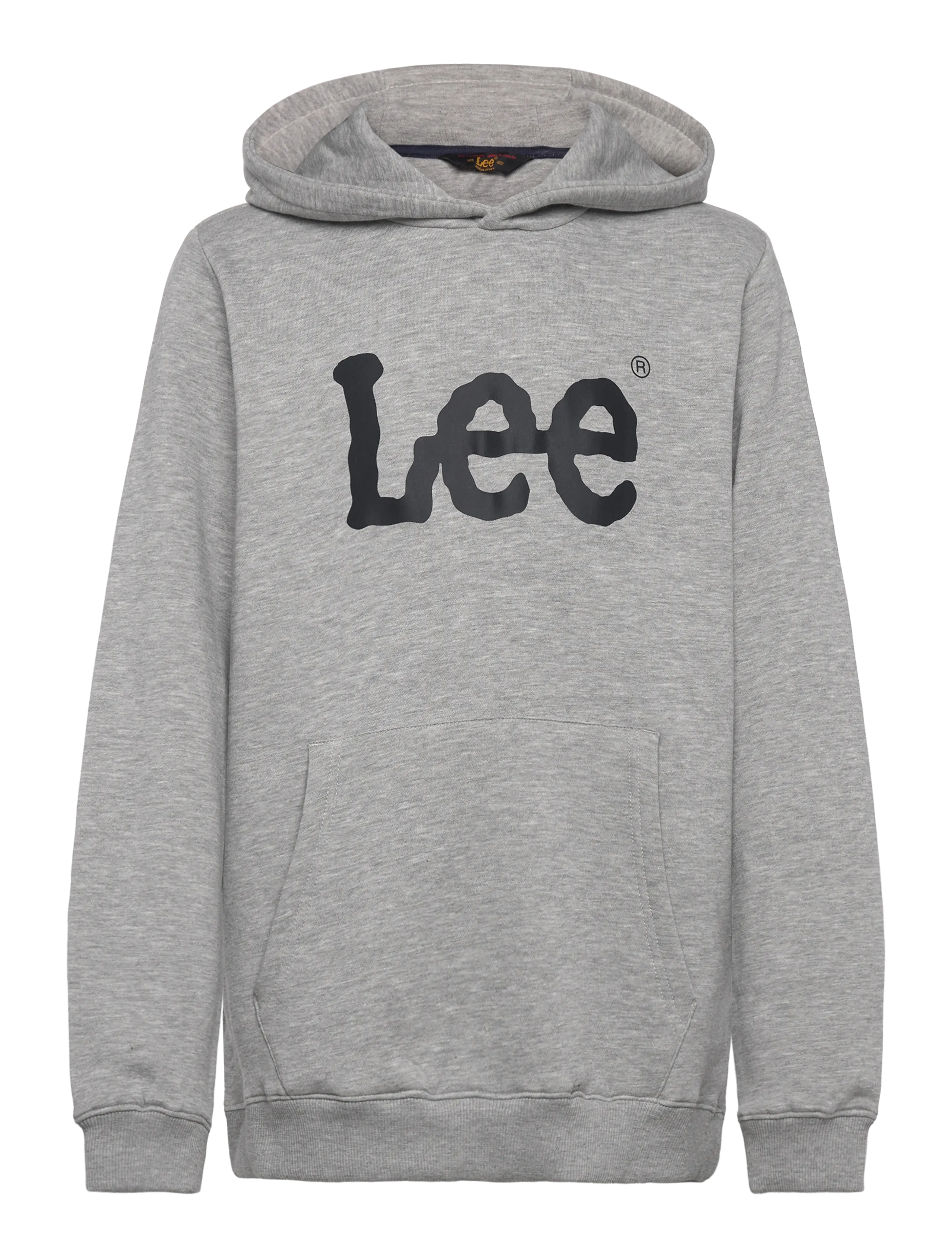 Lee Jeans Wobbly Graphic BB OTH Hoodie - Tøj - VINTAGE GREY HEATHER / grey