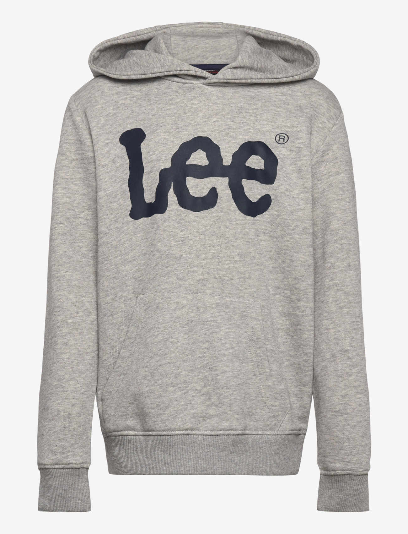 Lee Jeans Wobbly LEE Graphic LB OTH Hoodies - Sweatshirts & huvtröjor - VINTAGE GREY HEATHER / grey