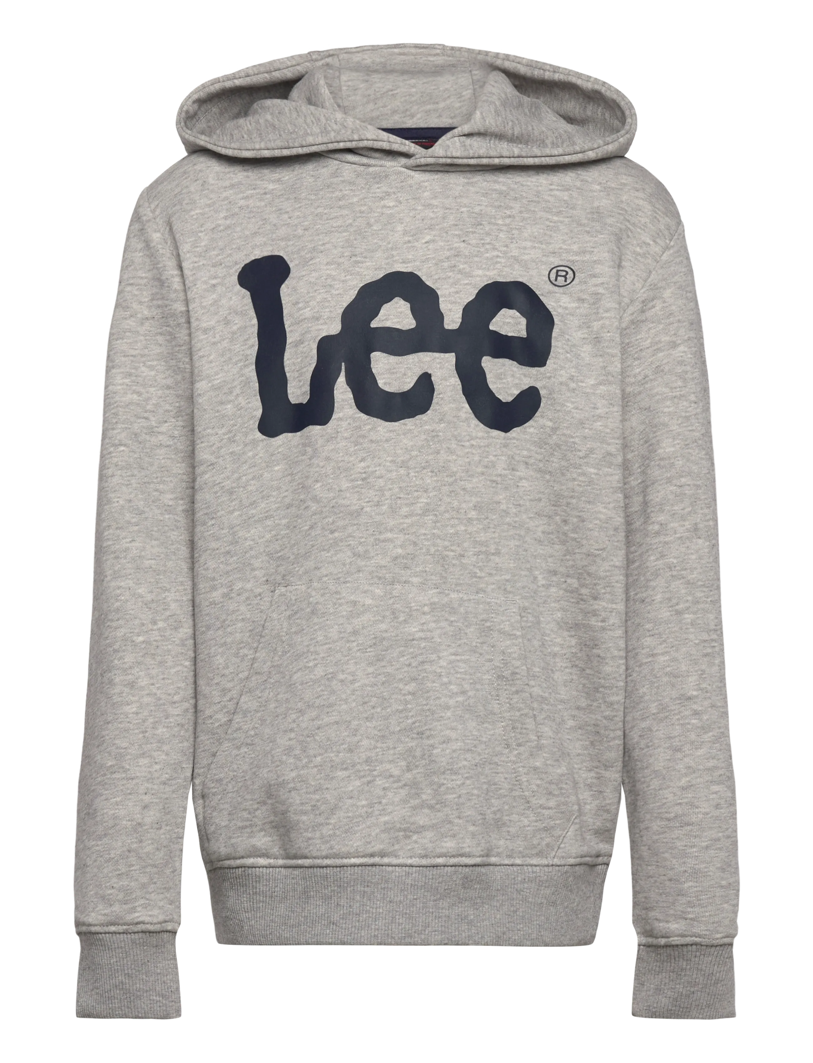 Lee Jeans Wobbly LEE Graphic LB OTH Hoodies - Lee Jeans Kids - VINTAGE GREY HEATHER / grey