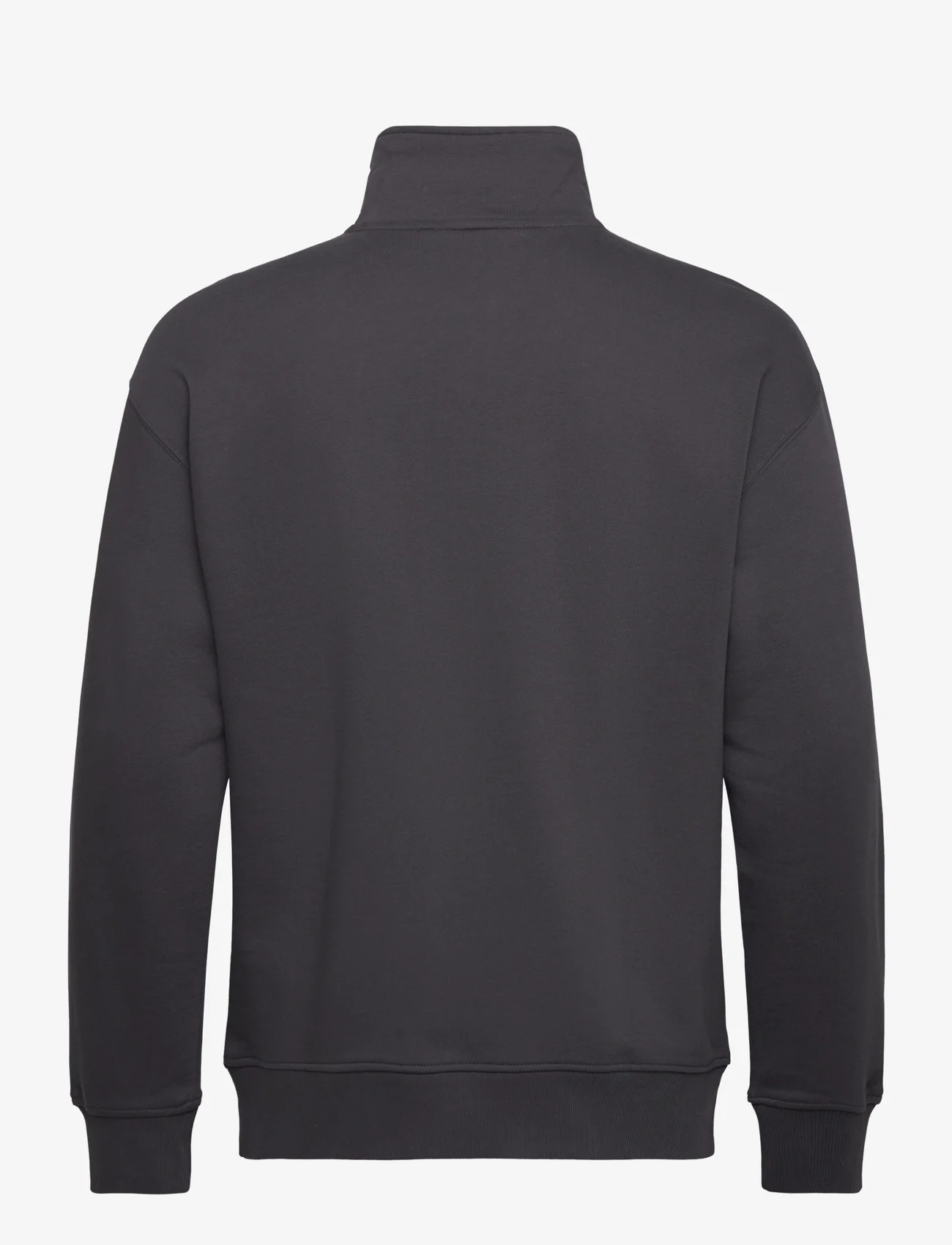 Lee Jeans - HALF ZIP SWS - sweatshirts - washed black - 1
