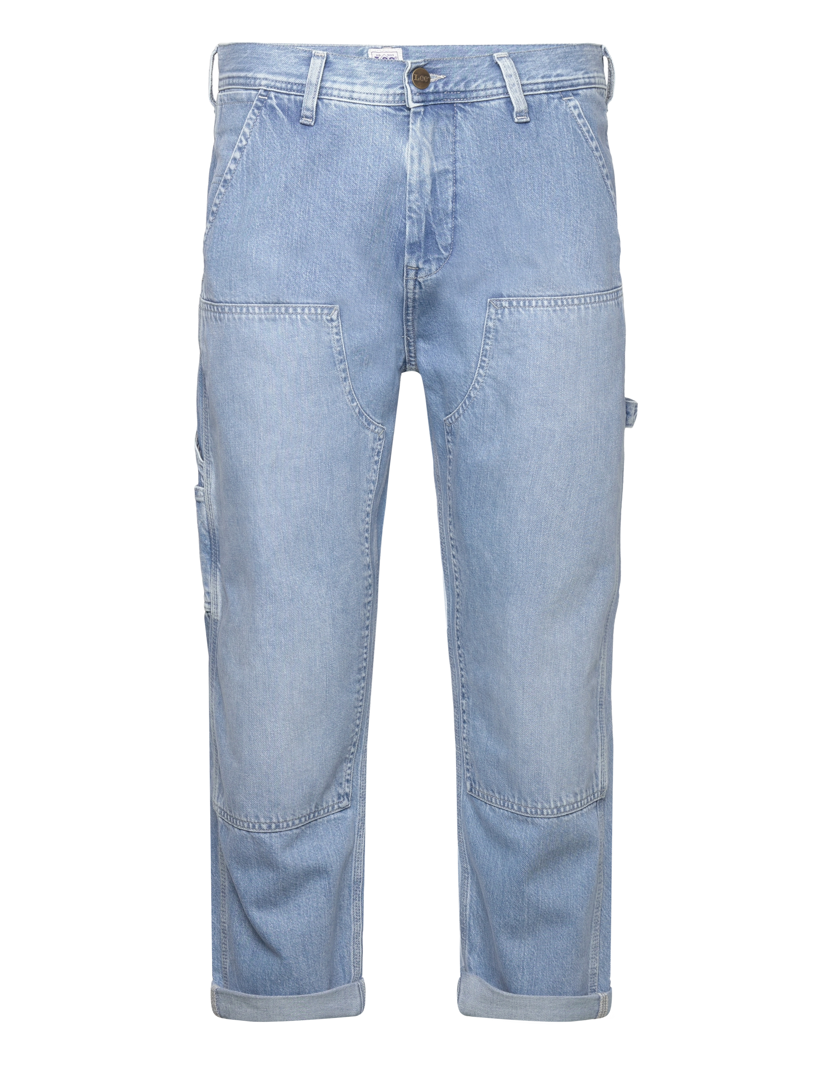 PANNELLED CARPENTER - GLACIER