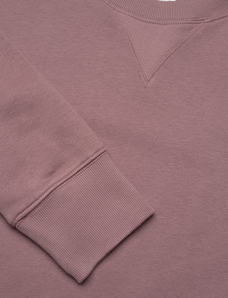 Lee Jeans - RAGLAN CREW SWS - sweatshirts - dreamy mauve - 2