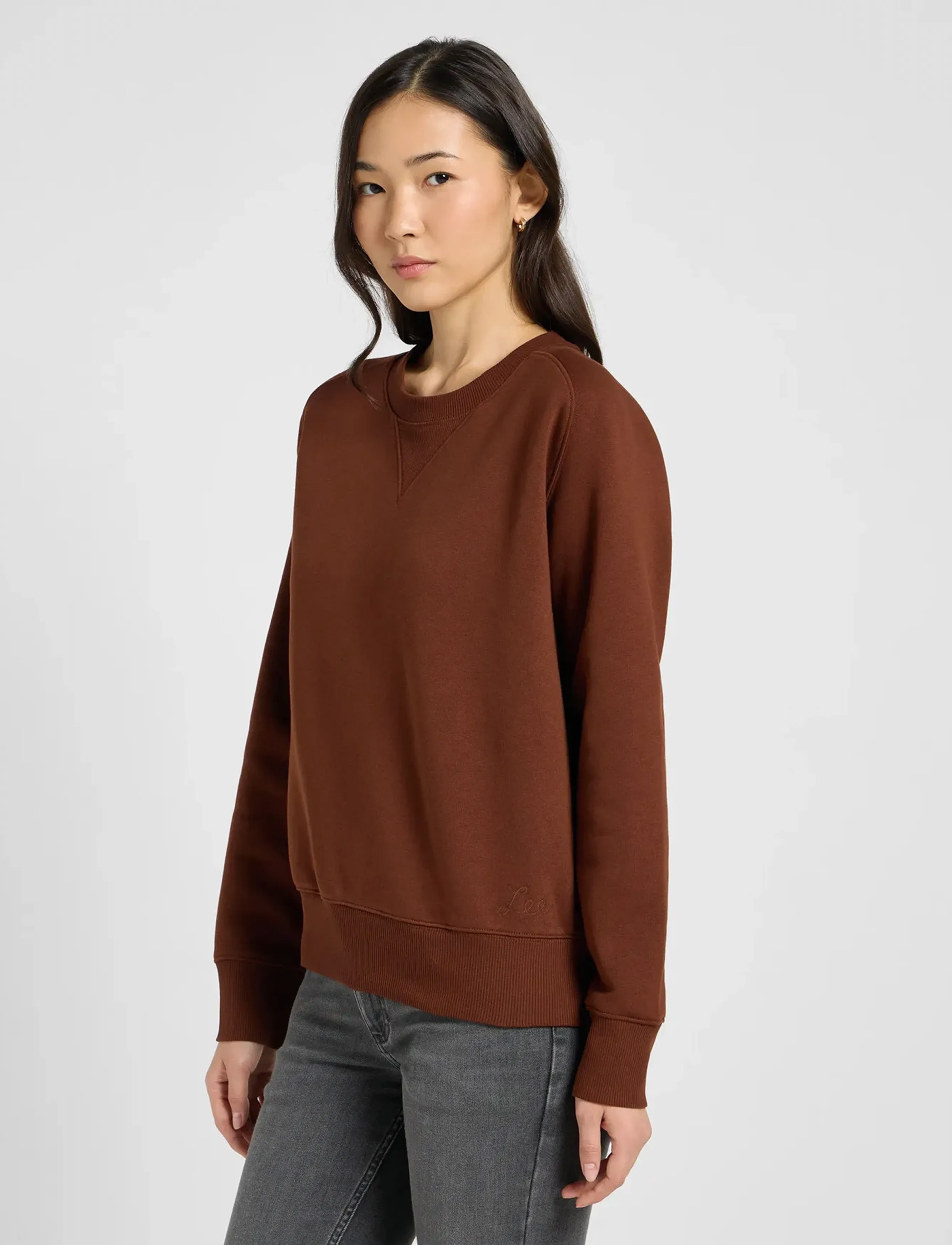 Lee Jeans - RAGLAN CREW SWS - medvilniniai megztiniai - luxe brown - 5