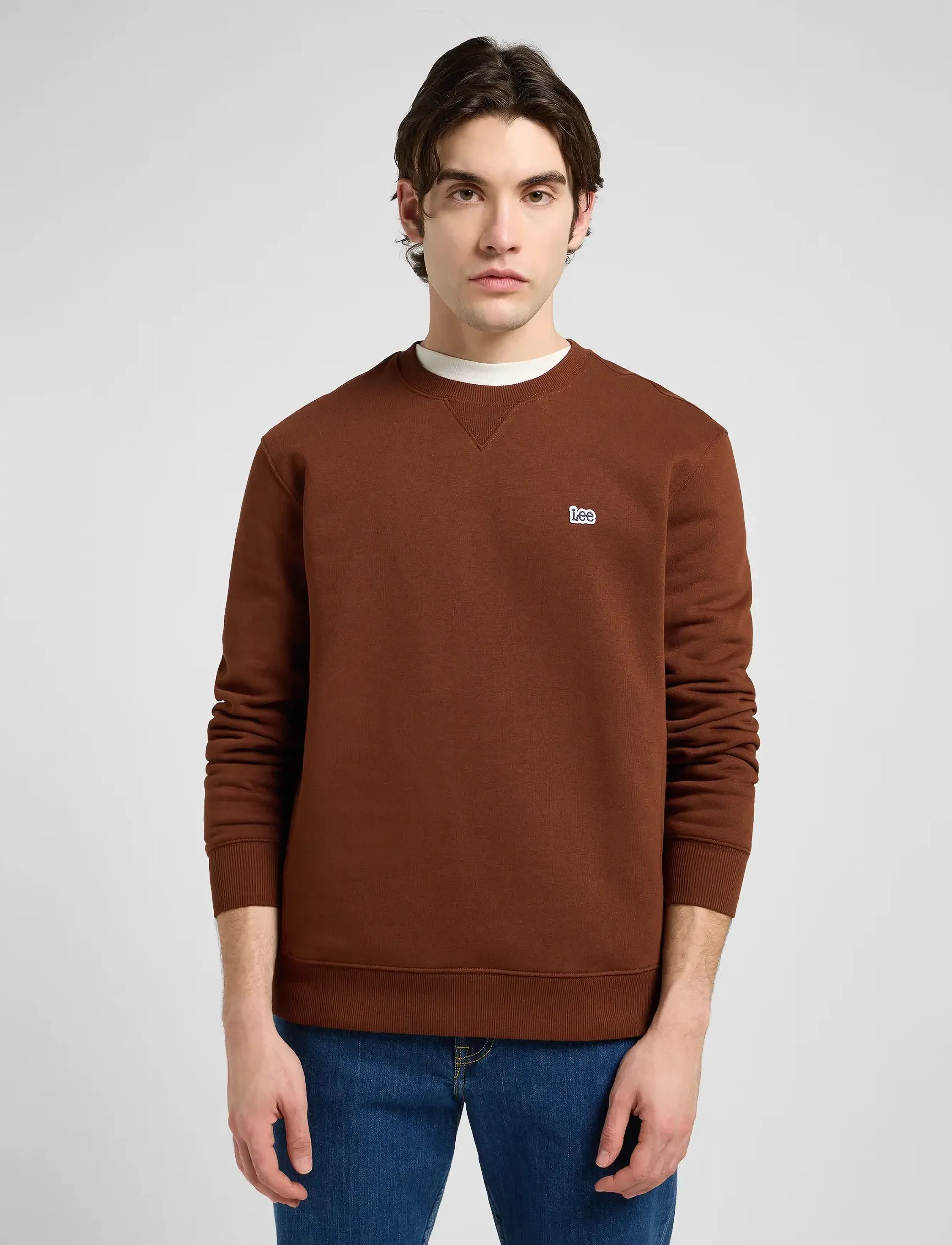 Lee Jeans PATCH CREW SWS - Sweatshirts - LUXE BROWN / brown