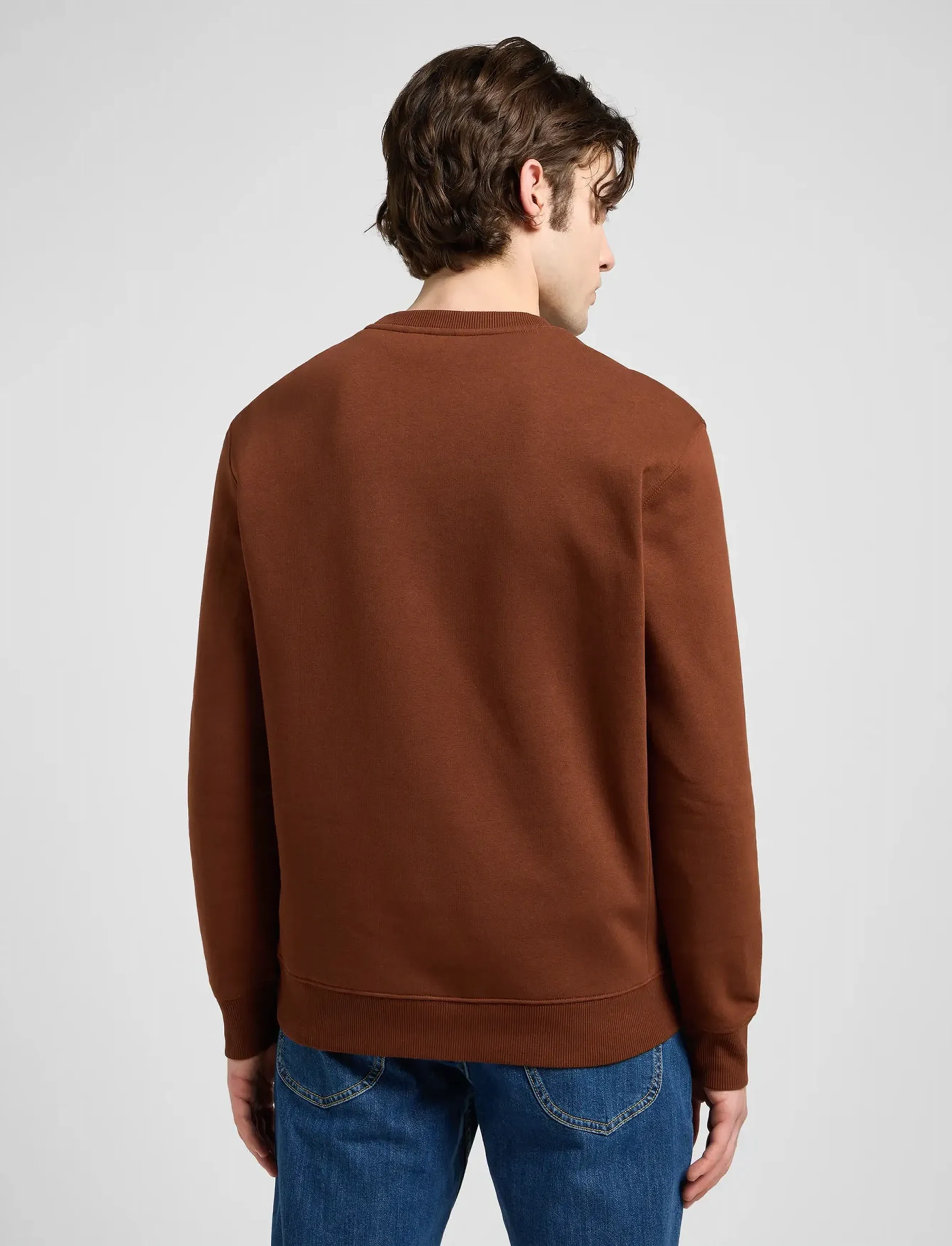 Lee Jeans - PATCH CREW SWS - sweatshirts & hoodies - luxe brown - 3