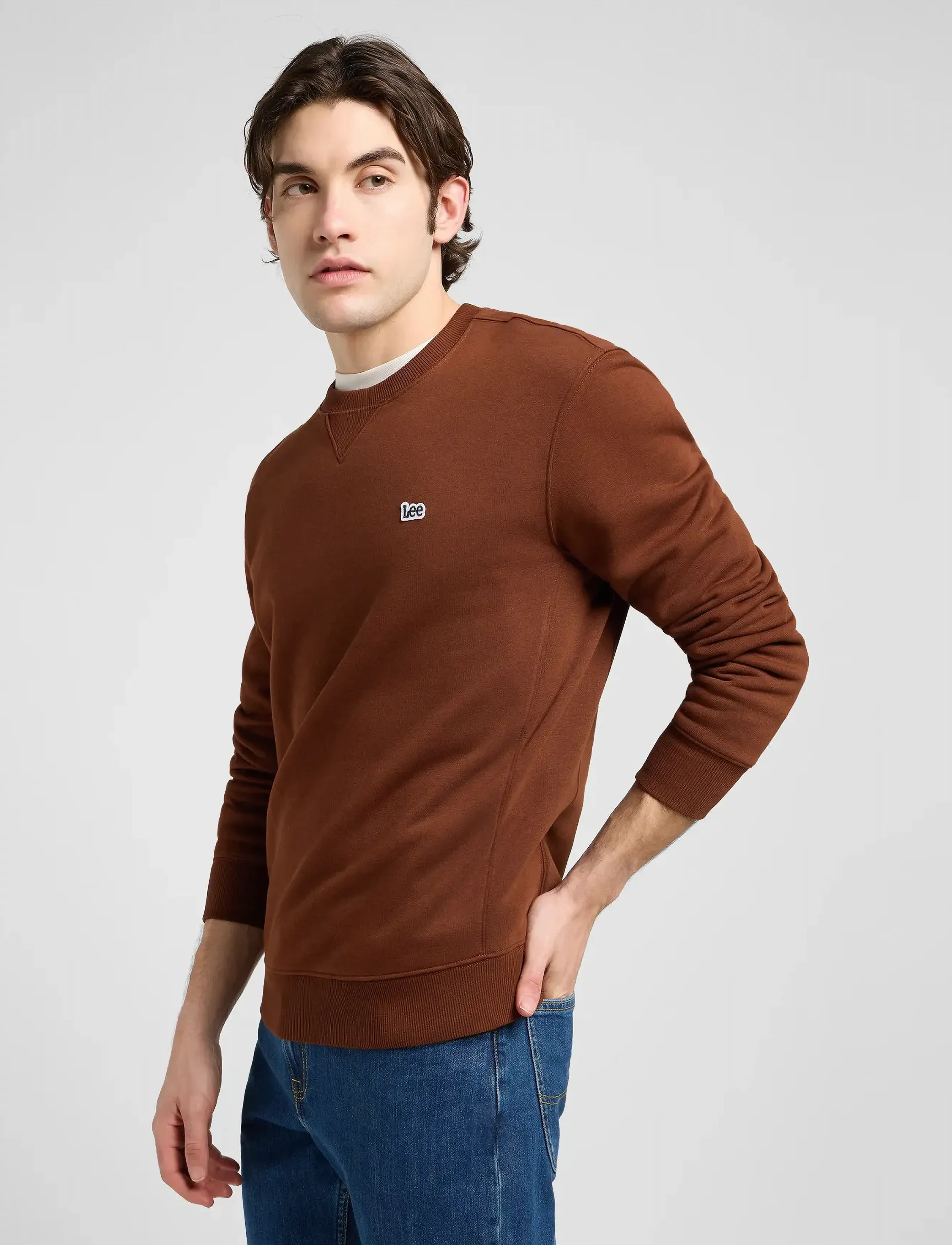 Lee Jeans - PATCH CREW SWS - sweatshirts & hoodies - luxe brown - 5