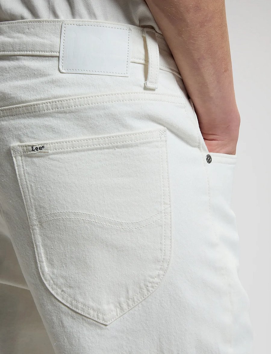 Lee Jeans - HADEN - regular jeans - free soul - 5