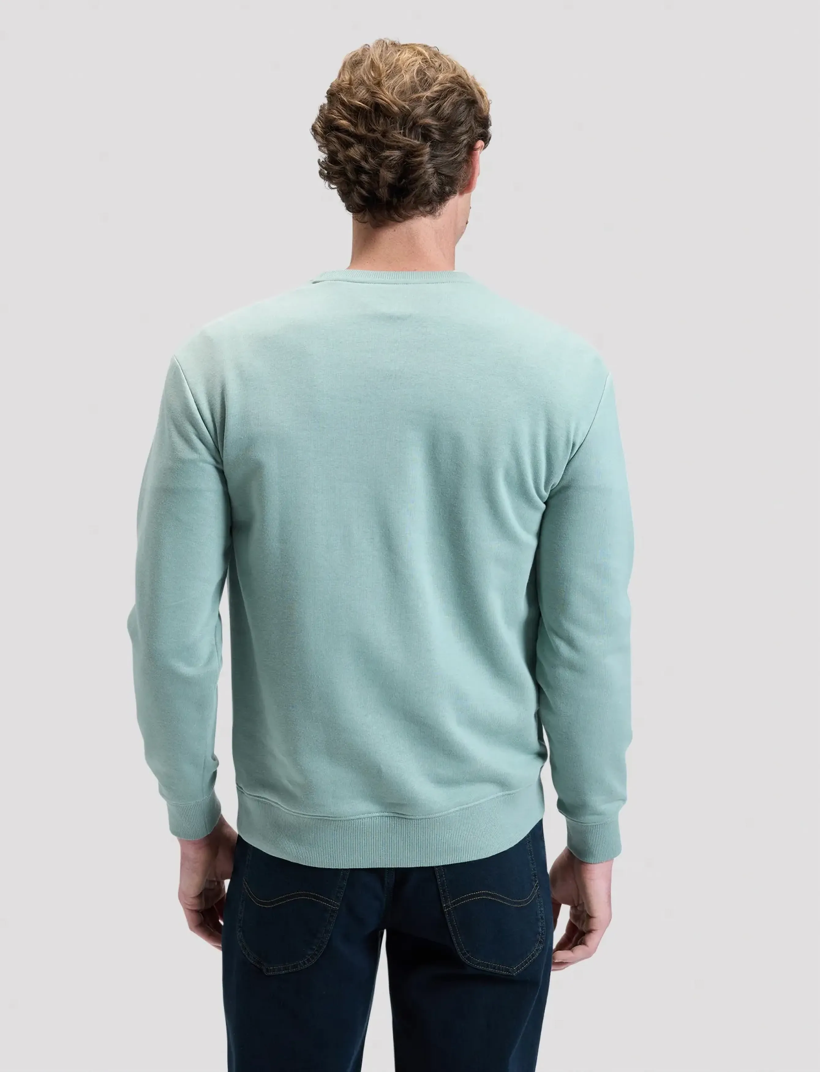 Lee Jeans - PATCH CREW SWS - collegepaidat - desert sage - 2