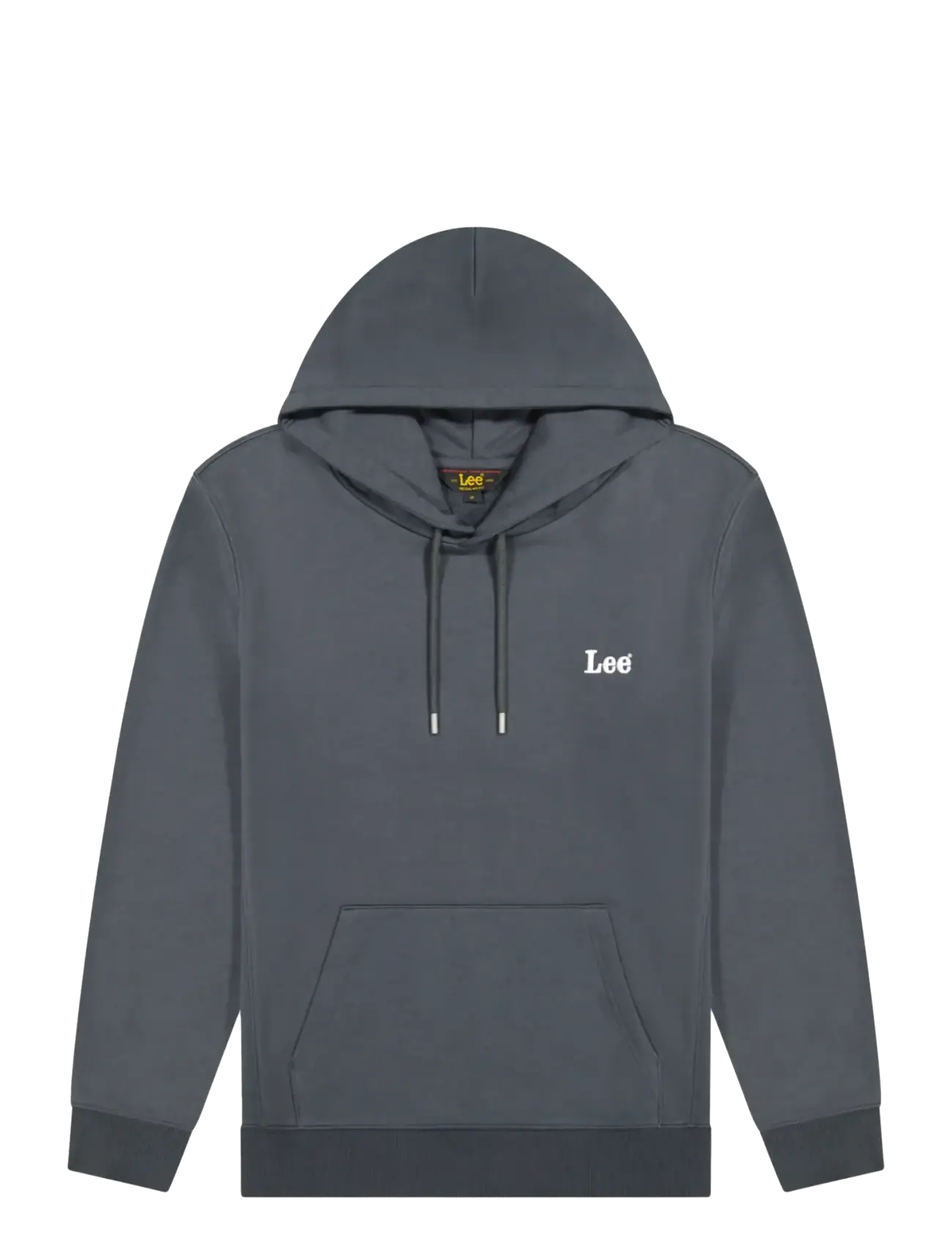 Lee Jeans ESSENTIAL LEE HOODIE - Sweatshirts & hoodies - WASHED BLACK / grey