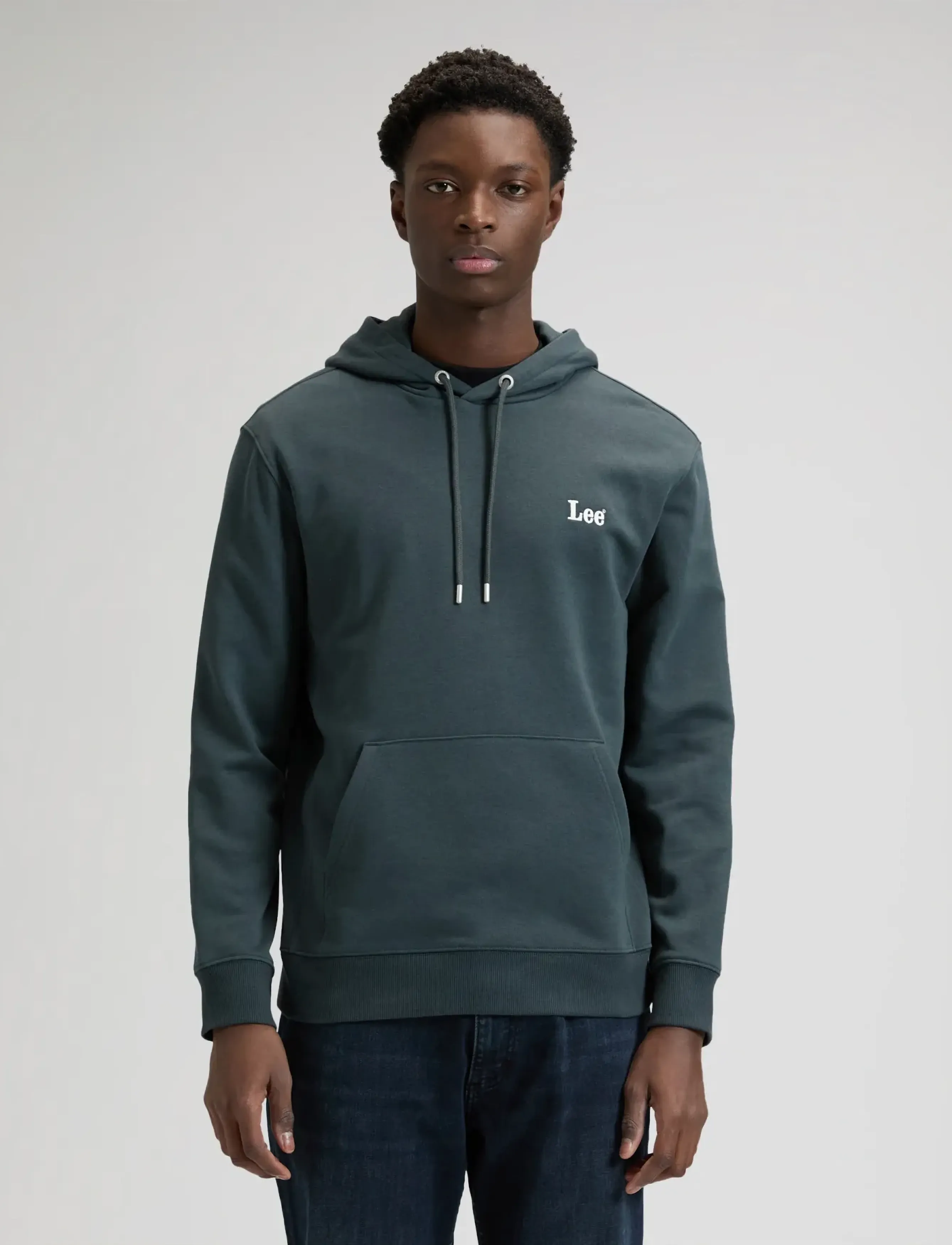 Lee Jeans ESSENTIAL LEE HOODIE - Sweatshirts - WASHED BLACK / grey