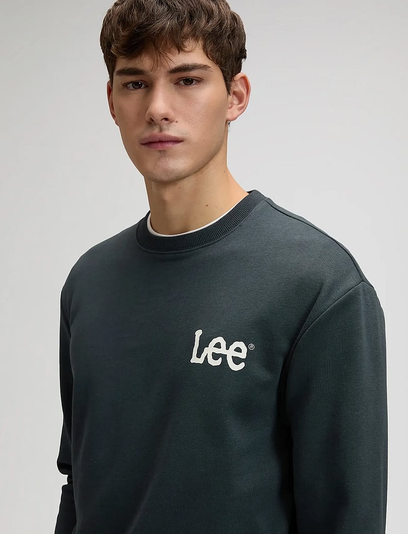Lee Jeans - WOBBLY LEE SWS - sweatshirts - washed black - 5