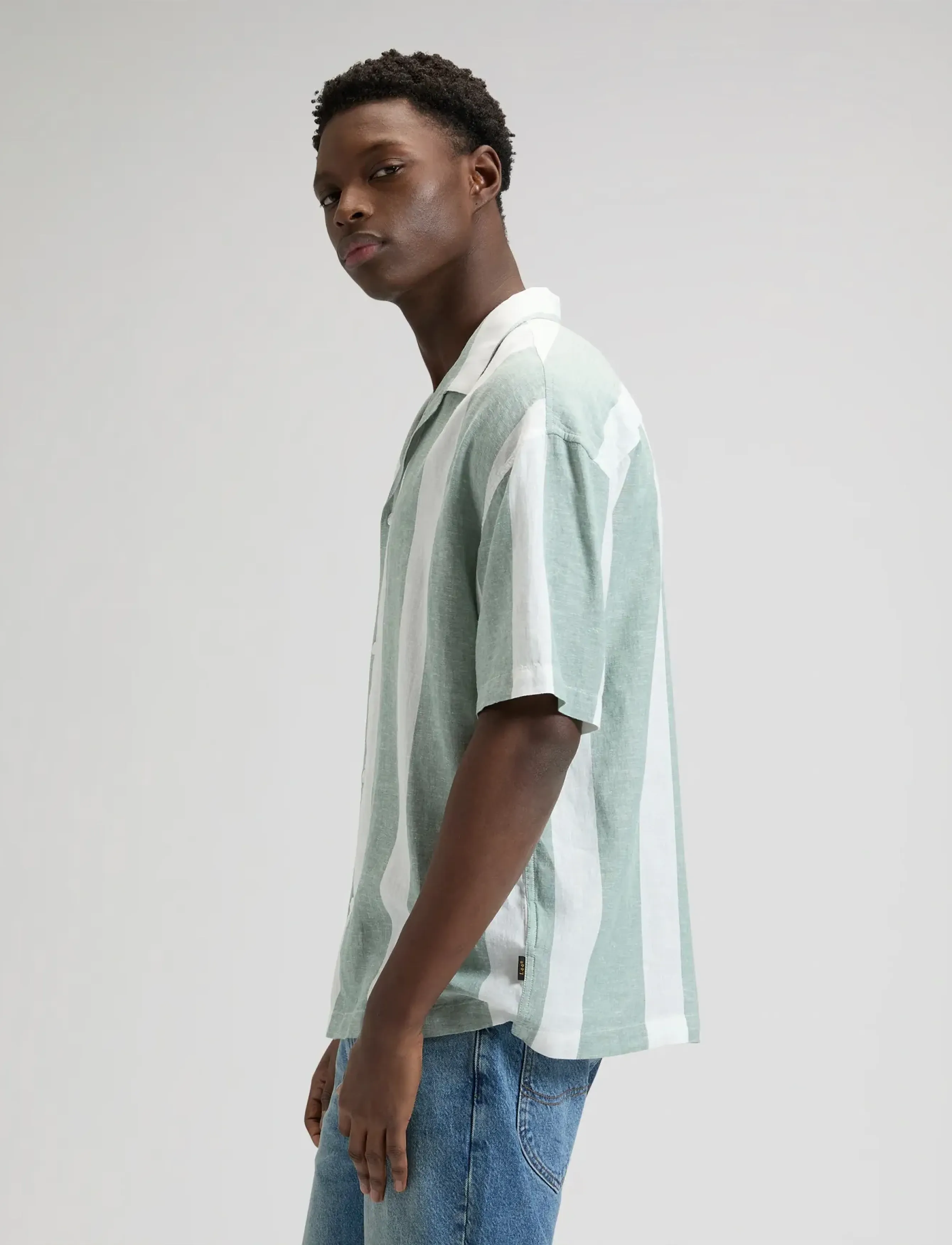 Lee Jeans - RLX RESORT SHIRT - hørskjorter - desert sage stripe - 4