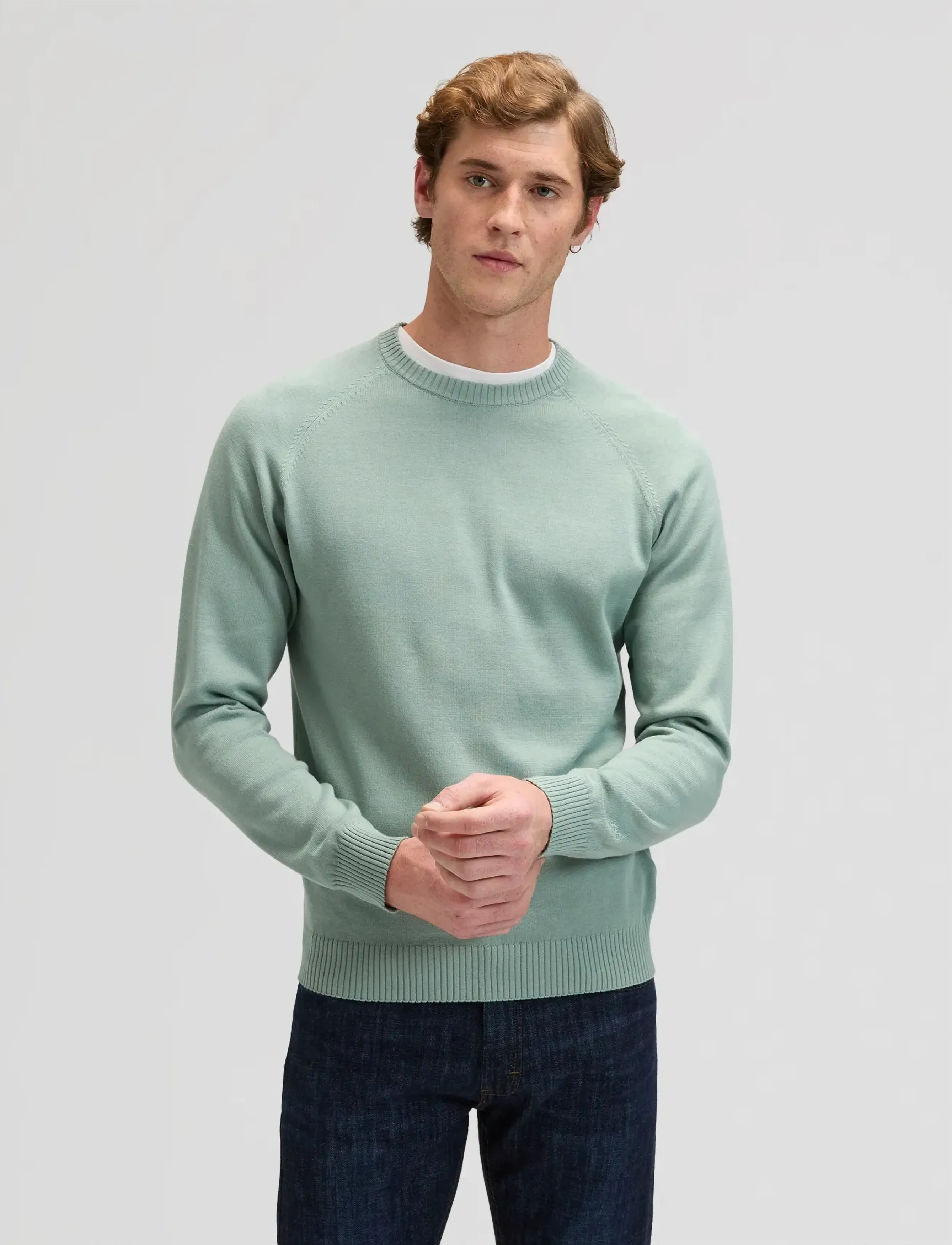 Lee Jeans CLEAN RAGLAN SWEATER - Knitwear - DESERT SAGE / green