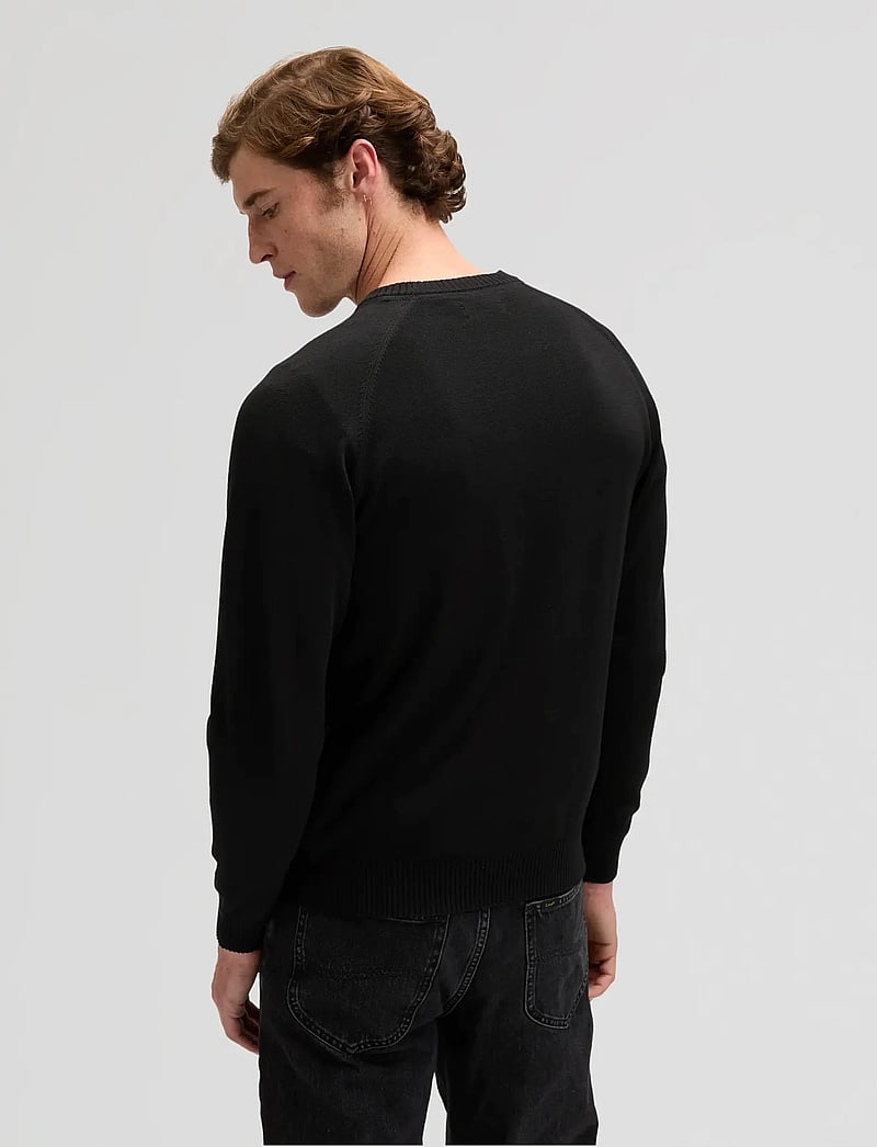 Lee Jeans - CLEAN RAGLAN SWEATER - rundhalsad - black - 2