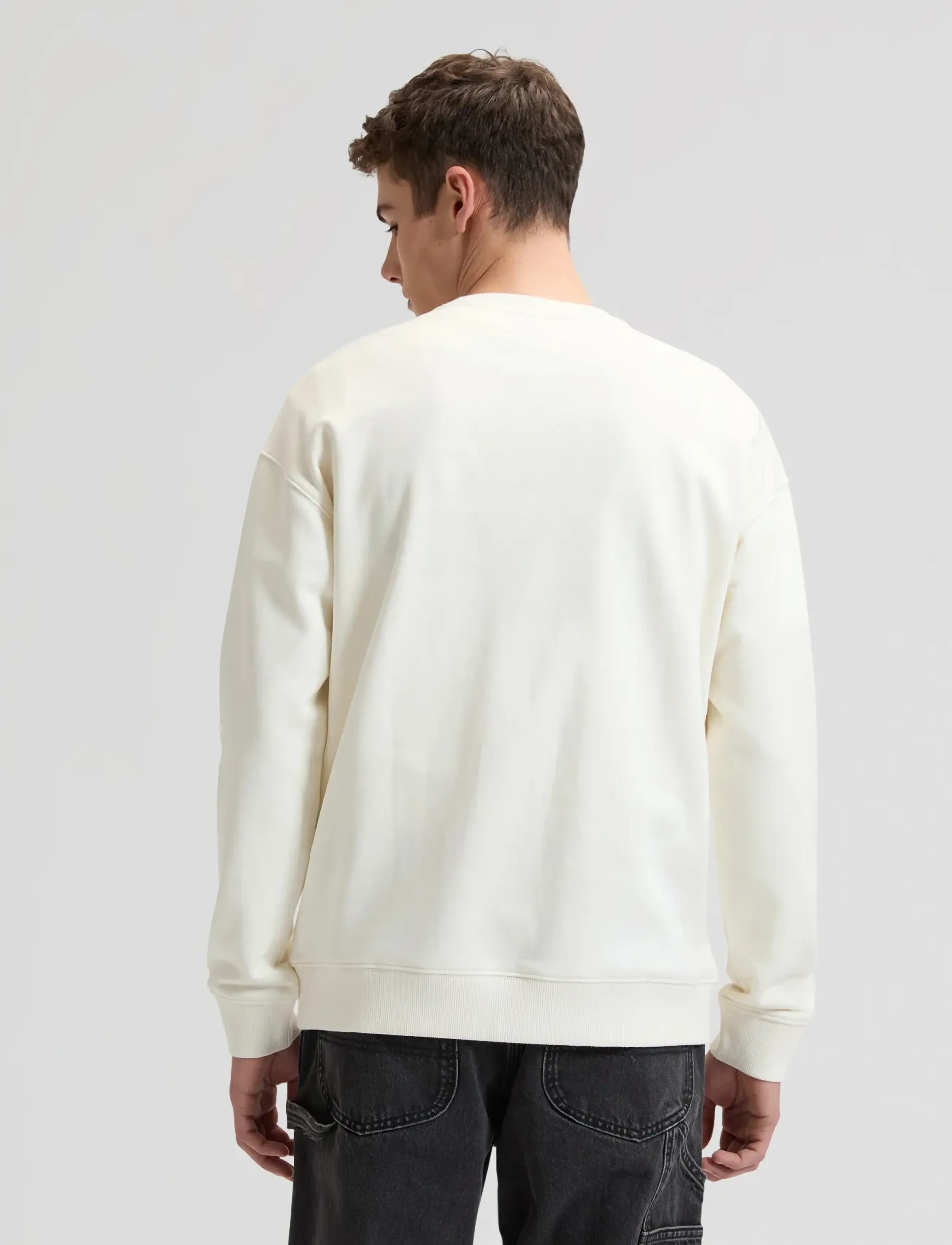 Lee Jeans - WORKWEAR ESS CREW - sweatshirts - natural - 2