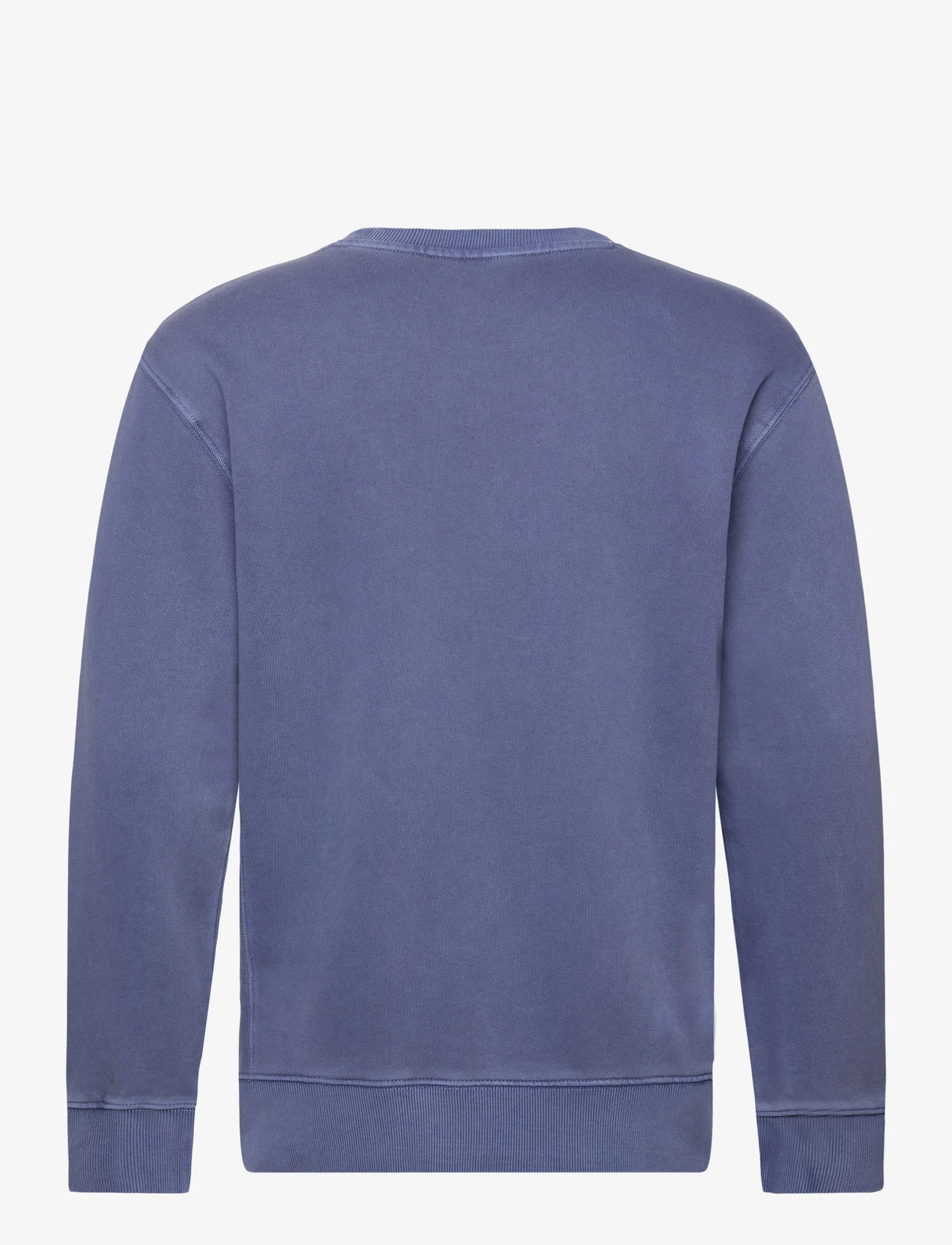 Lee Jeans - PLAIN CREW SWS - sportiska stila džemperi - surf blue - 1