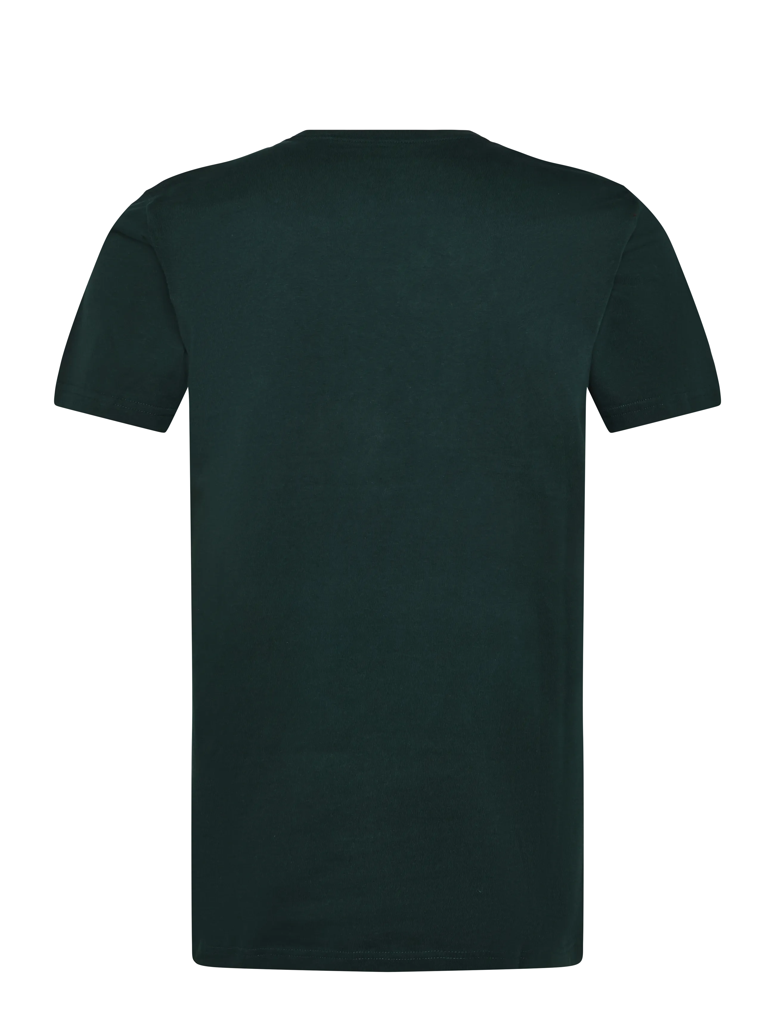 Lee Jeans - SS PATCH LOGO TEE - kurzärmelige t-shirts - ponderosa pine - 2