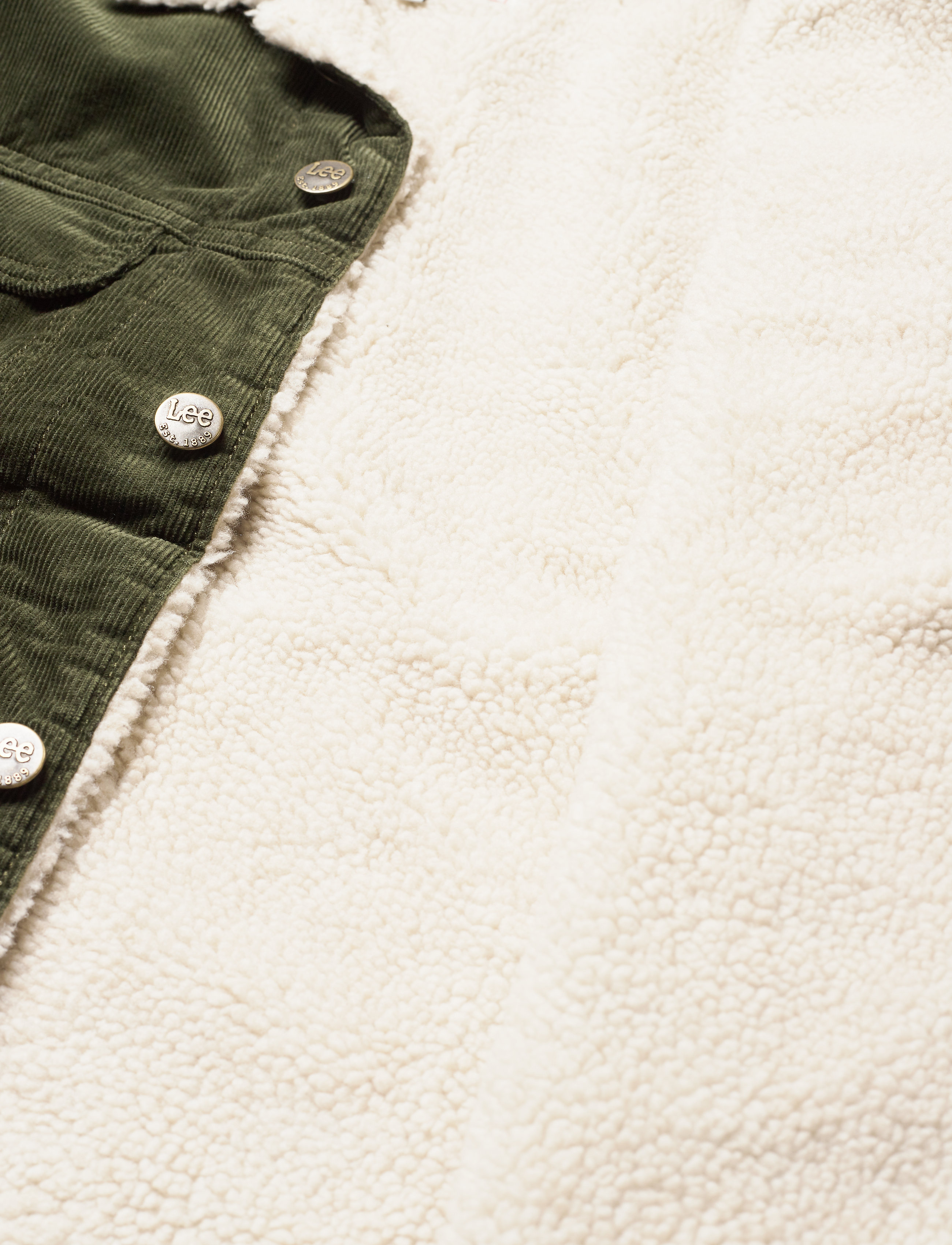 Lee Jeans - SHERPA RIDER - forest night - 4