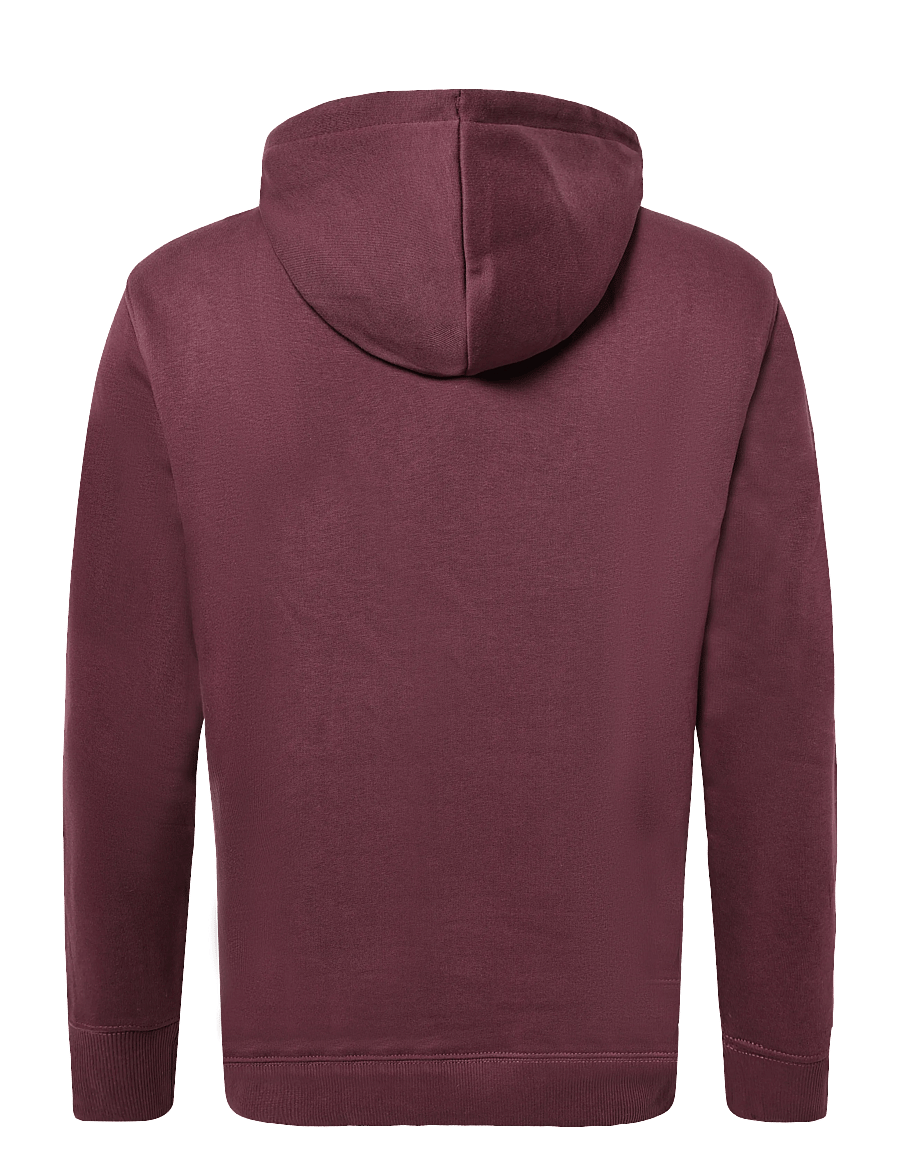 Lee Jeans - ESSENTIAL LEE HOODIE - kapuzenpullover - fig - 2