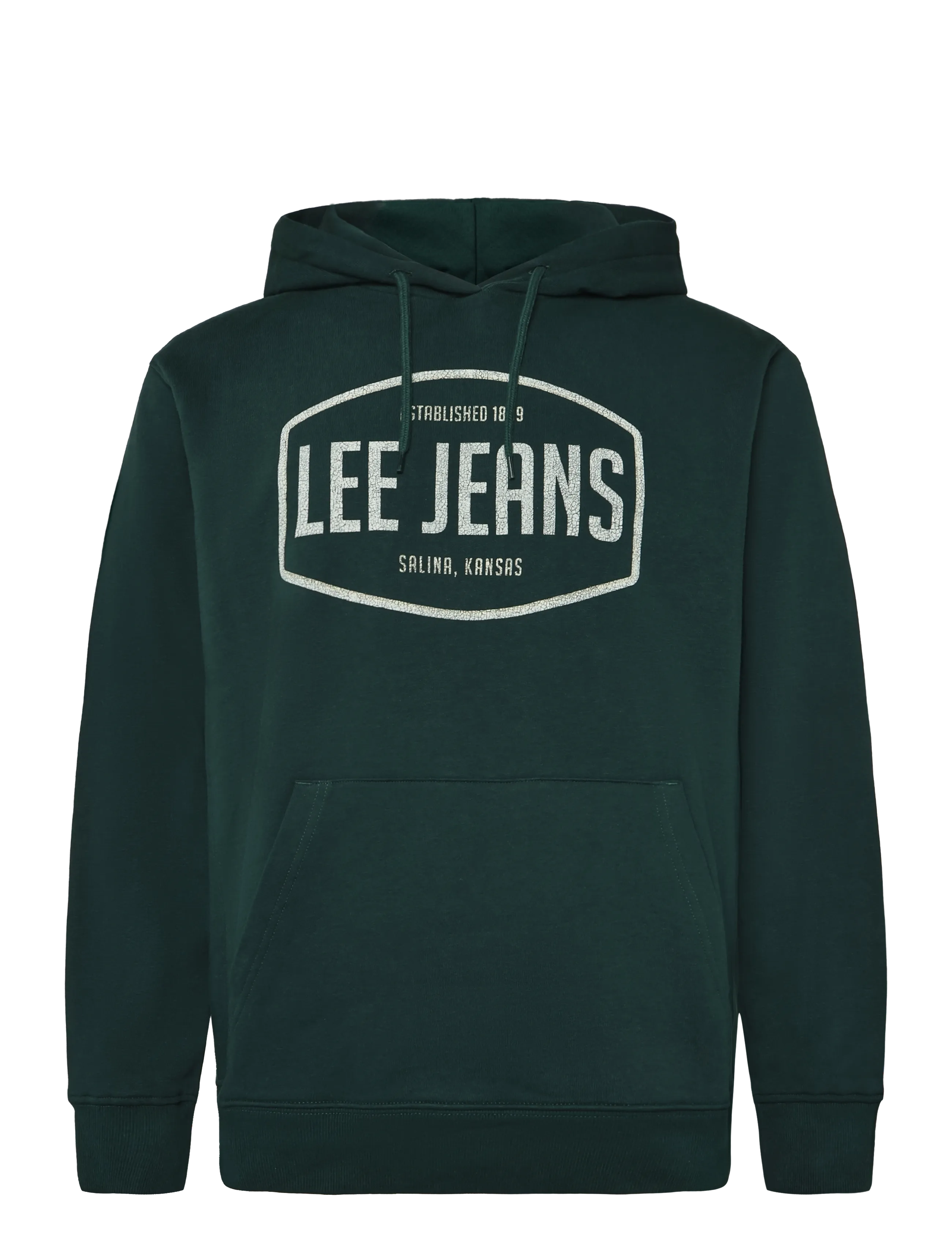 Lee Jeans BIG LOGO HOODIE - Sweatshirts & Kapuzenpullover - JADE FOREST / green