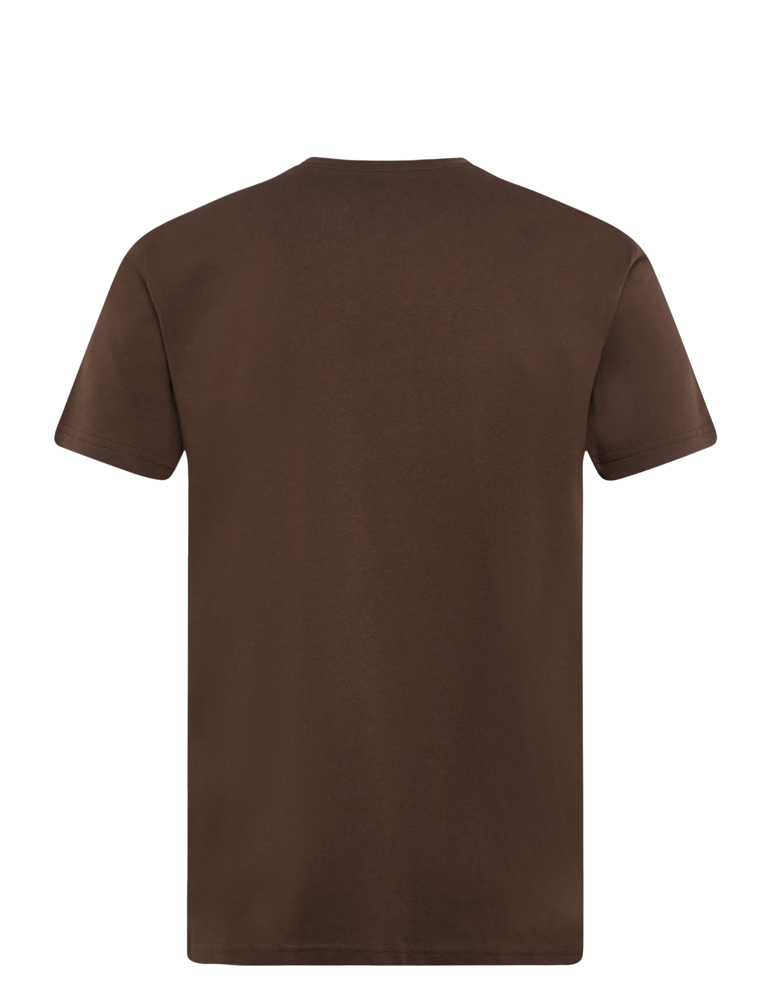 Lee Jeans - LEE AMERICANA TEE - short-sleeved t-shirts - shaved chocolate - 2