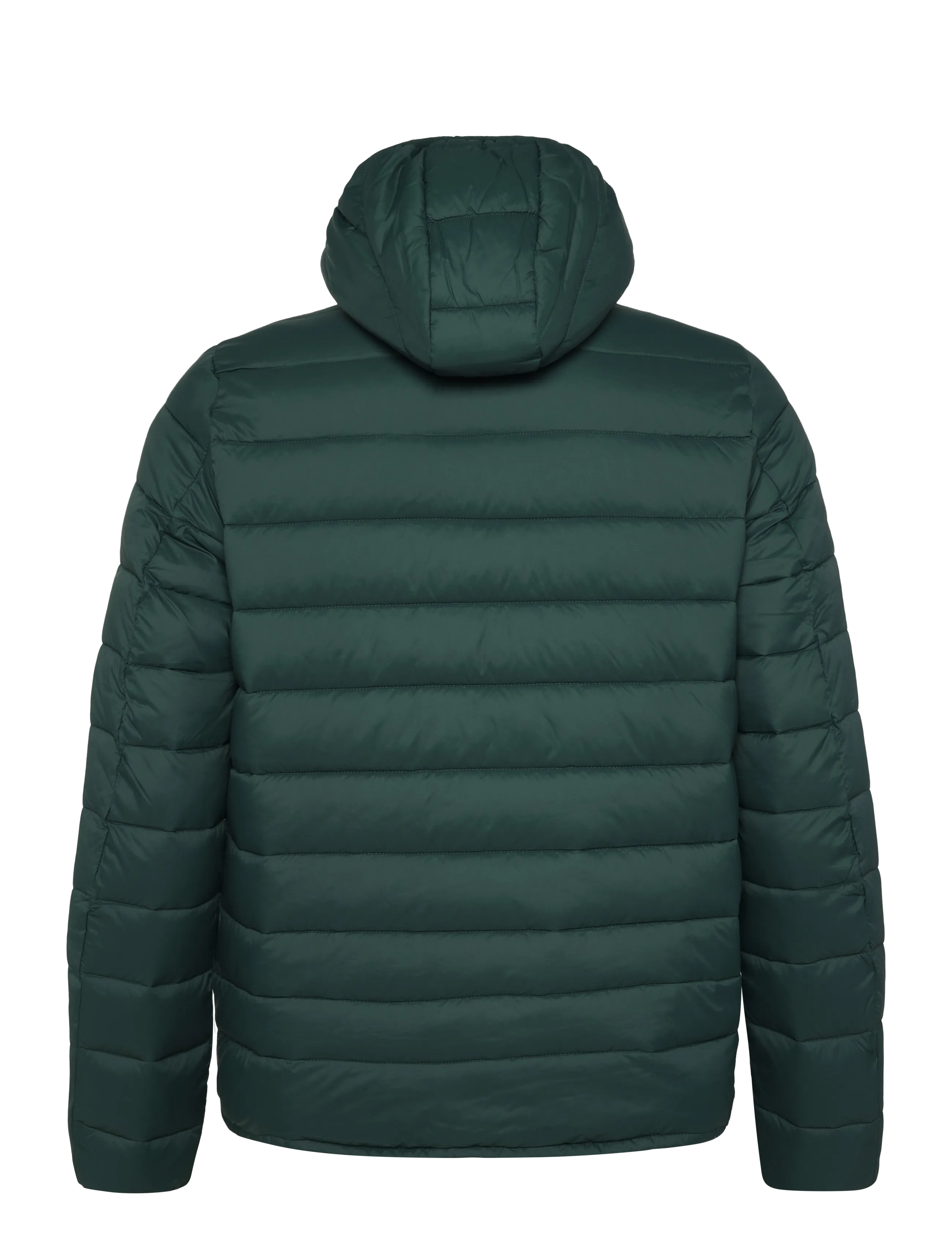 Lee Jeans - PUFFER JACKET - talvejoped - algae - 2