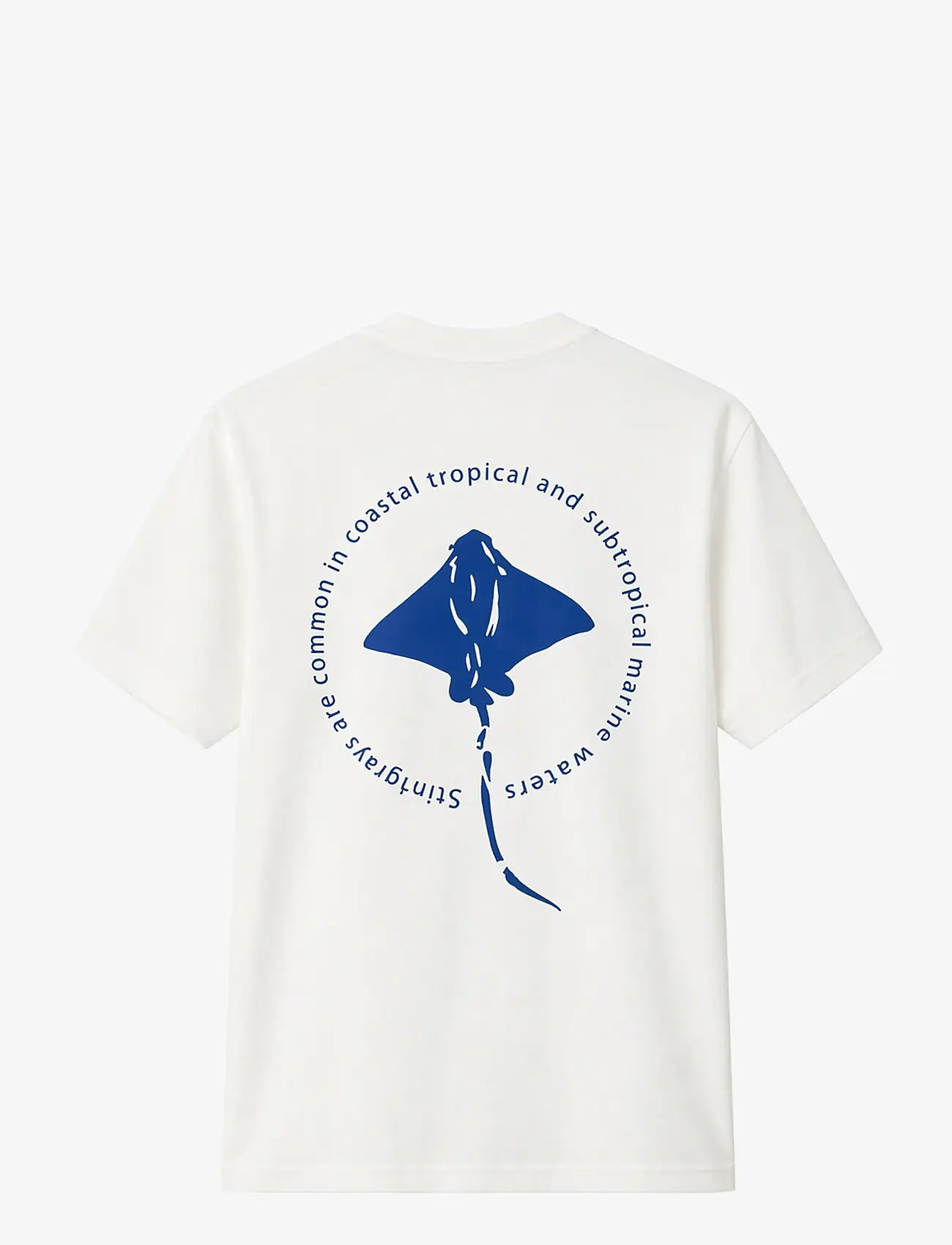 Legends - Bruce Stingray back print tee - madalaimad hinnad - snow white - 2