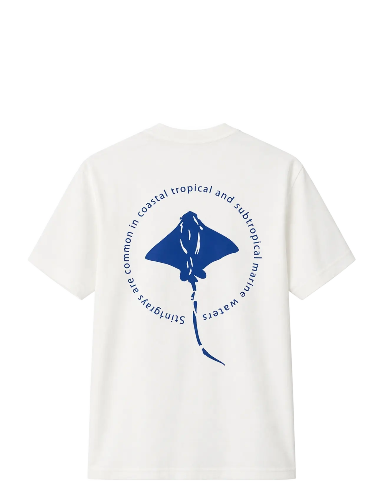 Legends - Bruce Stingray back print tee - laveste priser - snow white - 2