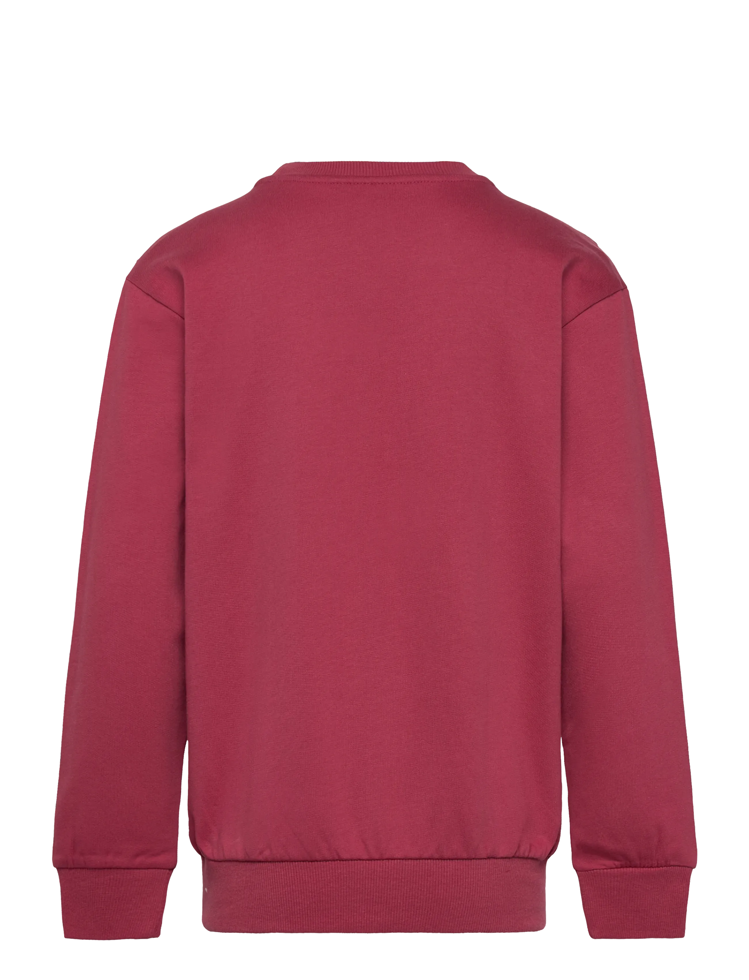 Lego Wear - LWSANA 601 - SWEATSHIRT - sweatshirts - earth red - 1